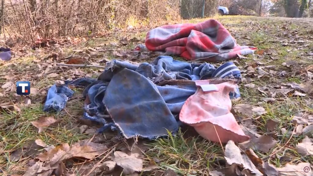 PKG PSI (IRENA) - Ko su vlasnici pasa koji su usmrtili novinara Vladana Radosavljevića?