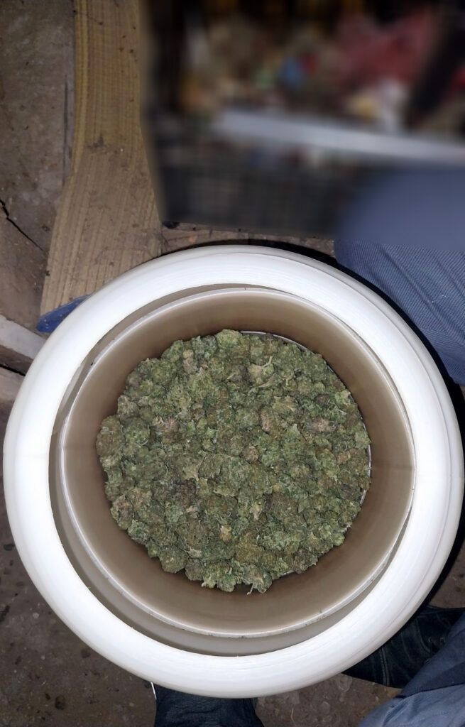 zaplena marihuana droga