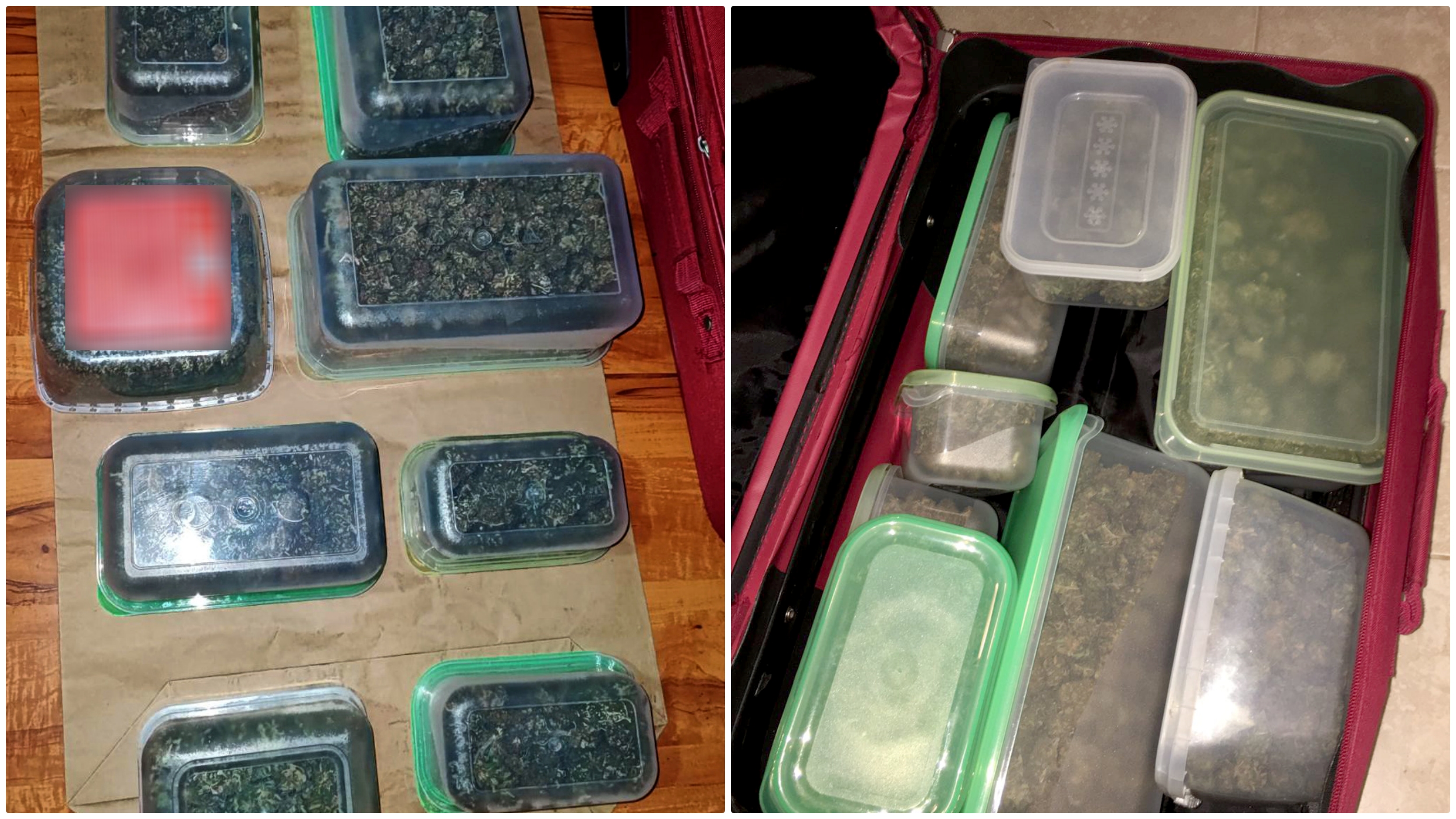zaplena marihuana droga