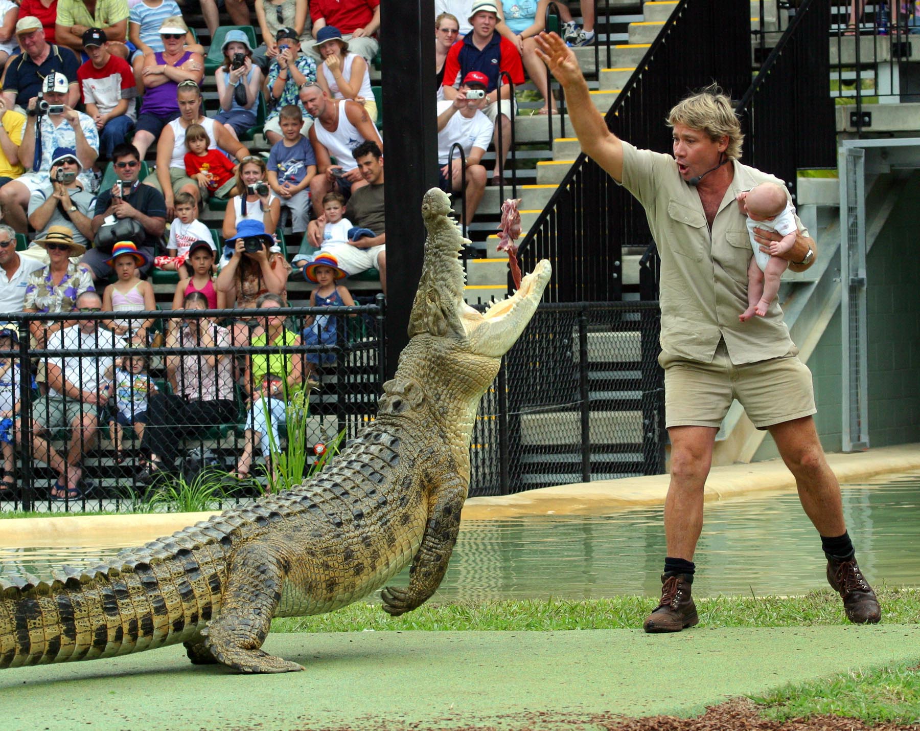 EXCLUSIVE: This is the infamous photograph of Steve Irwin feeding a crocodile while holding his baby son that saw him lose an award for Australian of the Year.