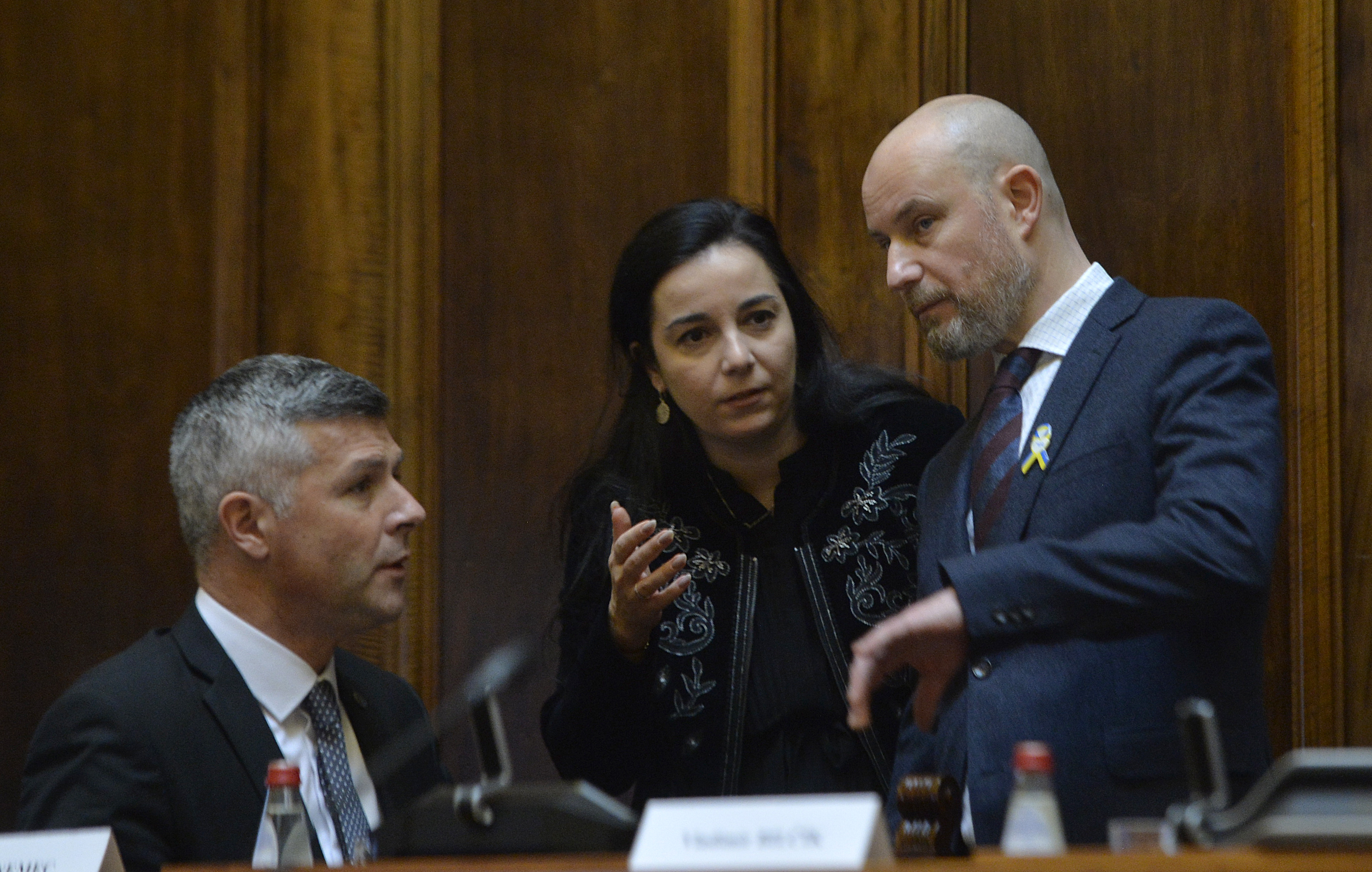 MATJAŽ NEMEC, VLADIMIR BILČIK