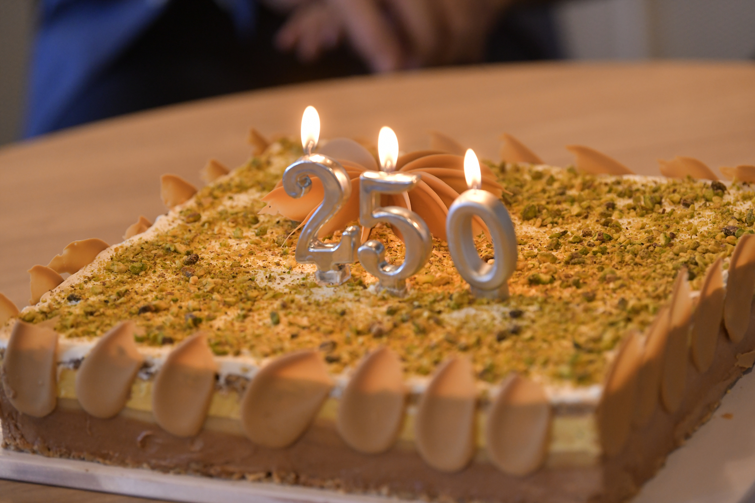 torta vucic 250 to obracanje voja mihajlo ranko