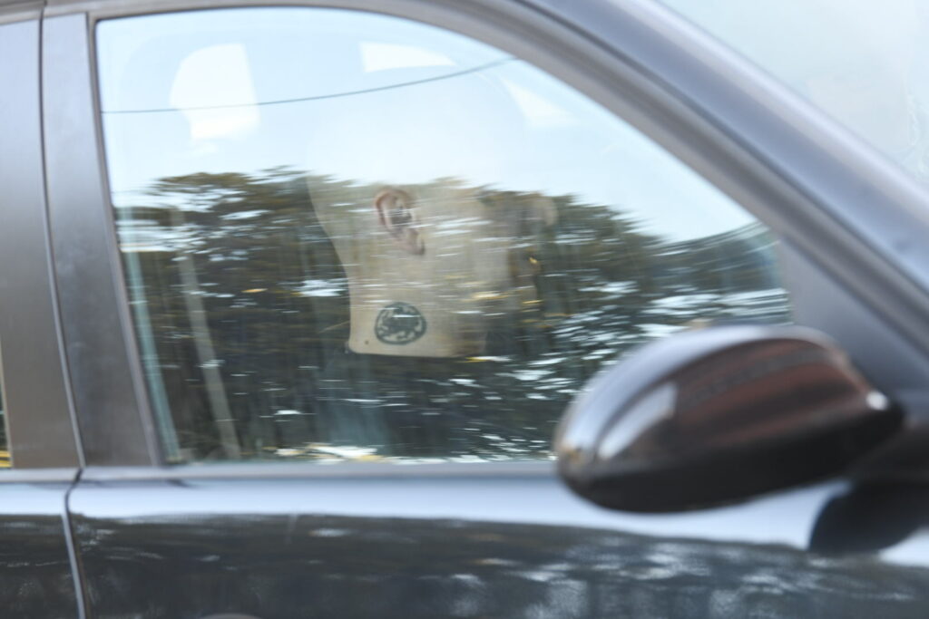 Beograd 03.10.2023. Zoran Marjanović, pušten iz zatvora, pritvora, izlazak iz zatvora, pritvora,  zatvor, pritvor Foto: Vesna Lalić/Nova.rs