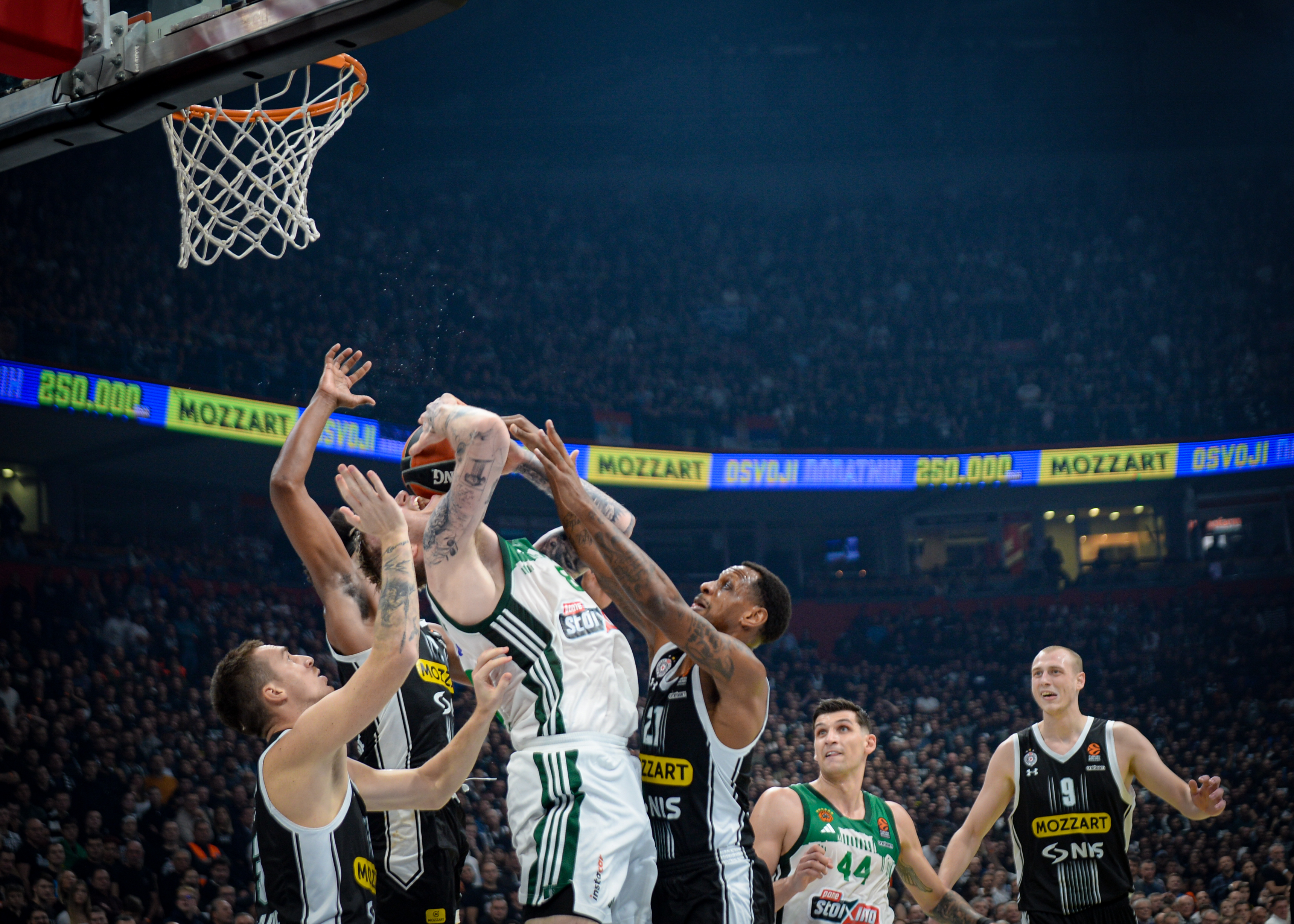 Partizan Panatinaikos, košarka Foto: Janko Anđelić/Nova.rs