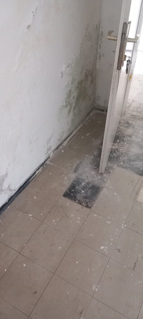 novica petrovic kragujevac ako ne das glas sns letis