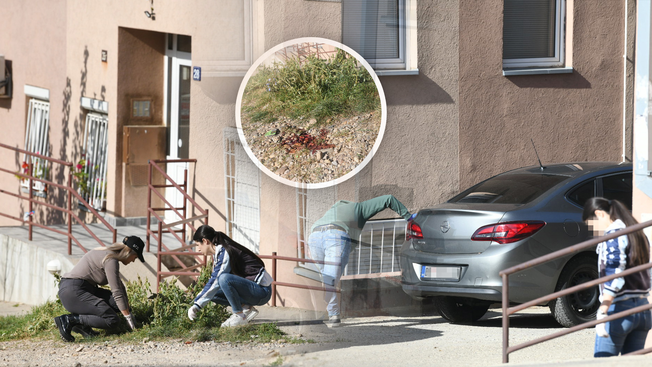 Beograd, 01.11.2022. Zvezdara, Ulica Miljana Miljanića, Pucnjava, ranjen mladić Foto: Vesna Lalić/Nova.rs, Kombo