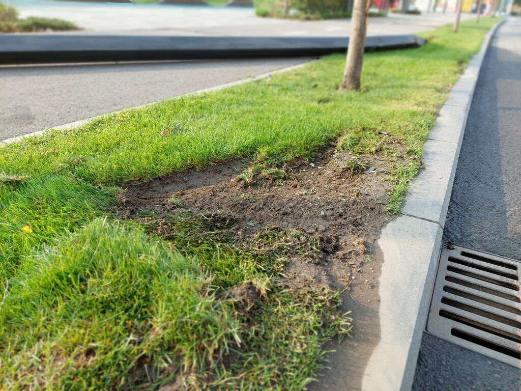 Beograd na vodi, prevrtanje automobila hronika