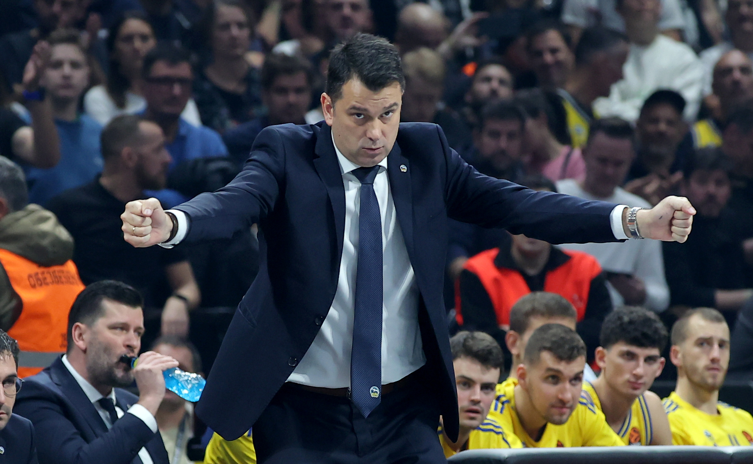 partizan-alba-195451