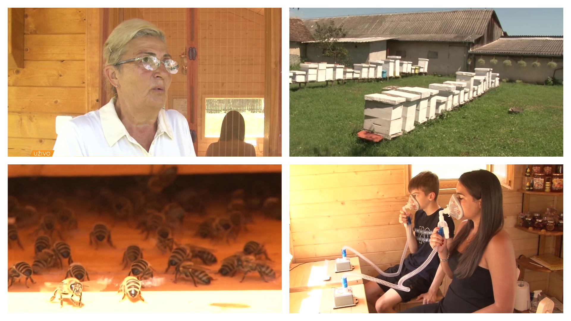 Radojka Seka Dražić je apiterapeutkinja, svoju ljubav prema pčelama pretočila je u ozbiljan posao