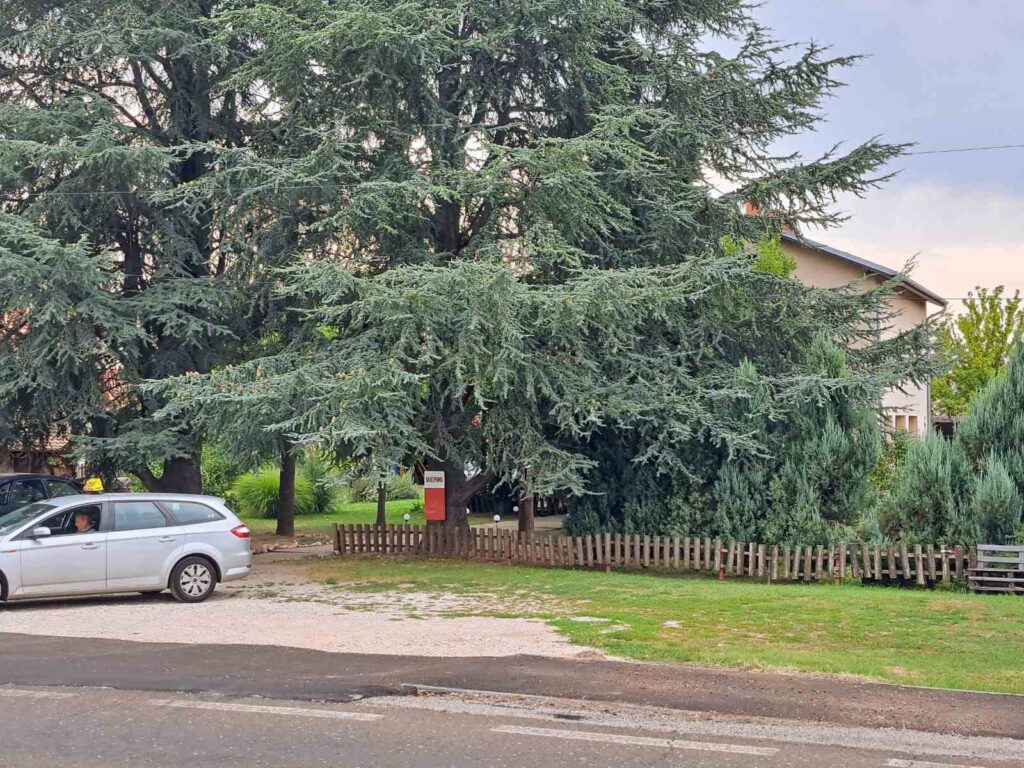 Mladenovac mesto ubistva