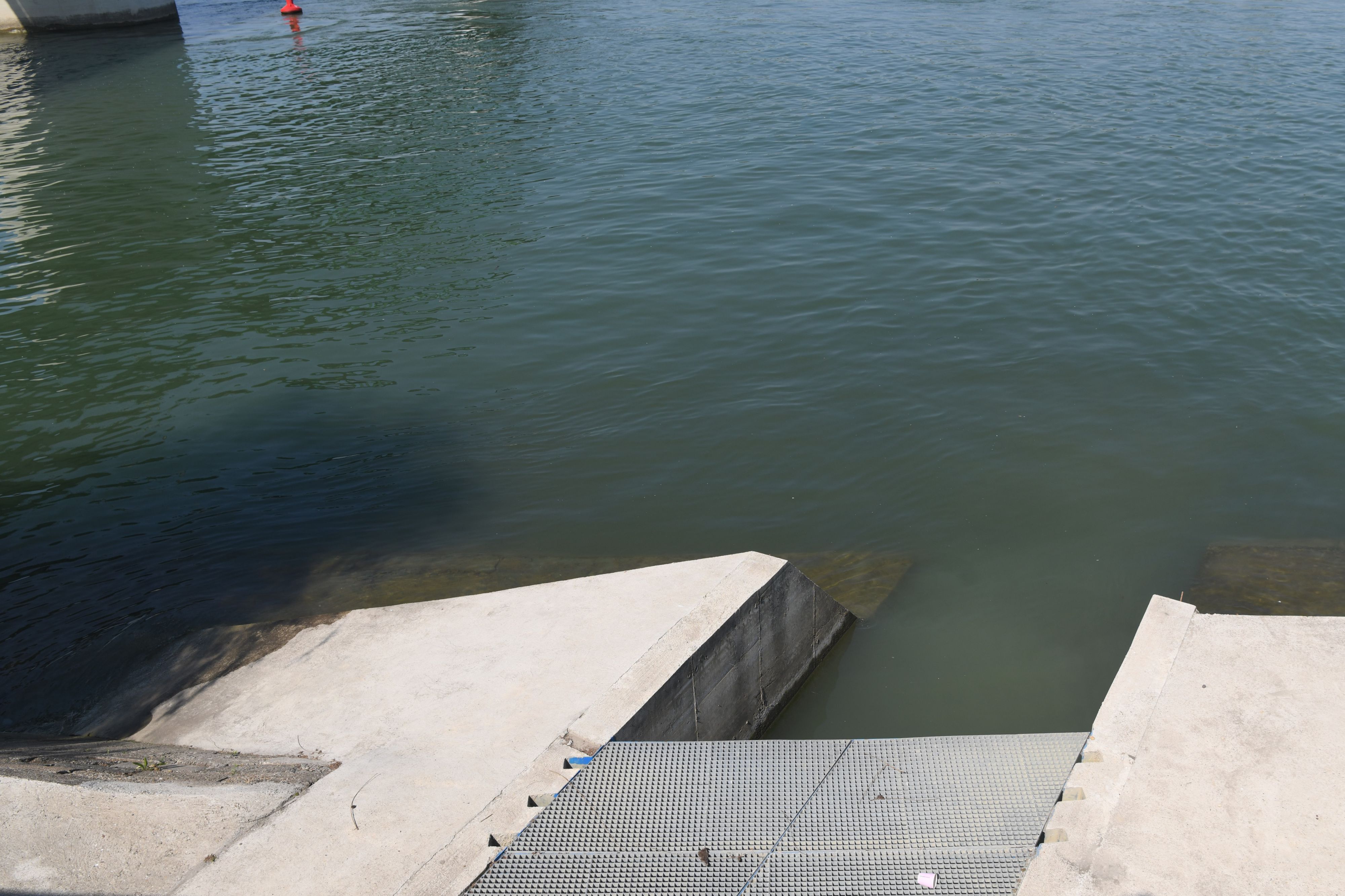 Beograd, 04.05.2022. Reka, zagađenje, ekoloska katastrofa, kanalizacioni ispusti, kanlizacija, kej Foto: Goran Srdanov/Nova.rs