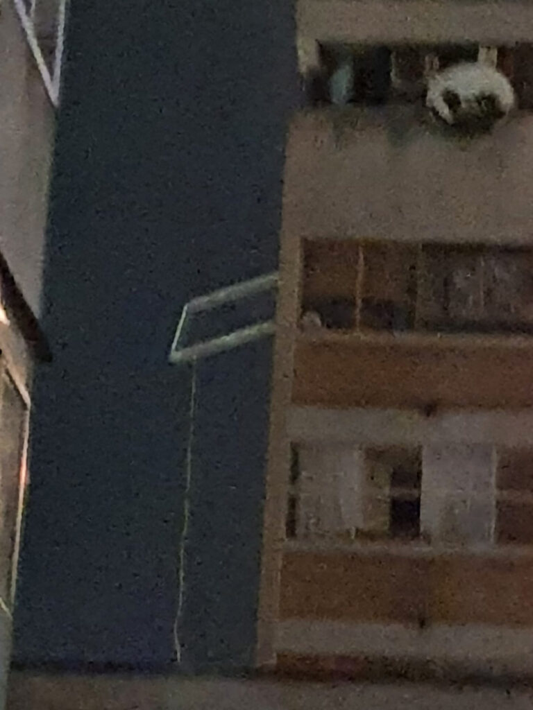 Jaka eksplozija odjeknula je u centru Smedereva fotografije skinute sa facebooka Televizije Smederevo dozvolili su Gordani Petković da skinemo fotografije