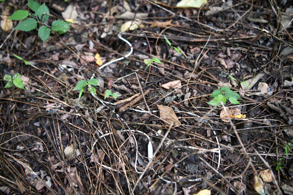 Subotica, Makova sedmica 16.08.2023. Migranti, migrantska ruta, švercerska ruta Foto: Filip Krainčanić/Nova.rs