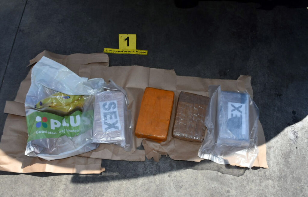 Droga, proizvodnja i stavljanje u promet opojnih droga, kokain Foto: MUP