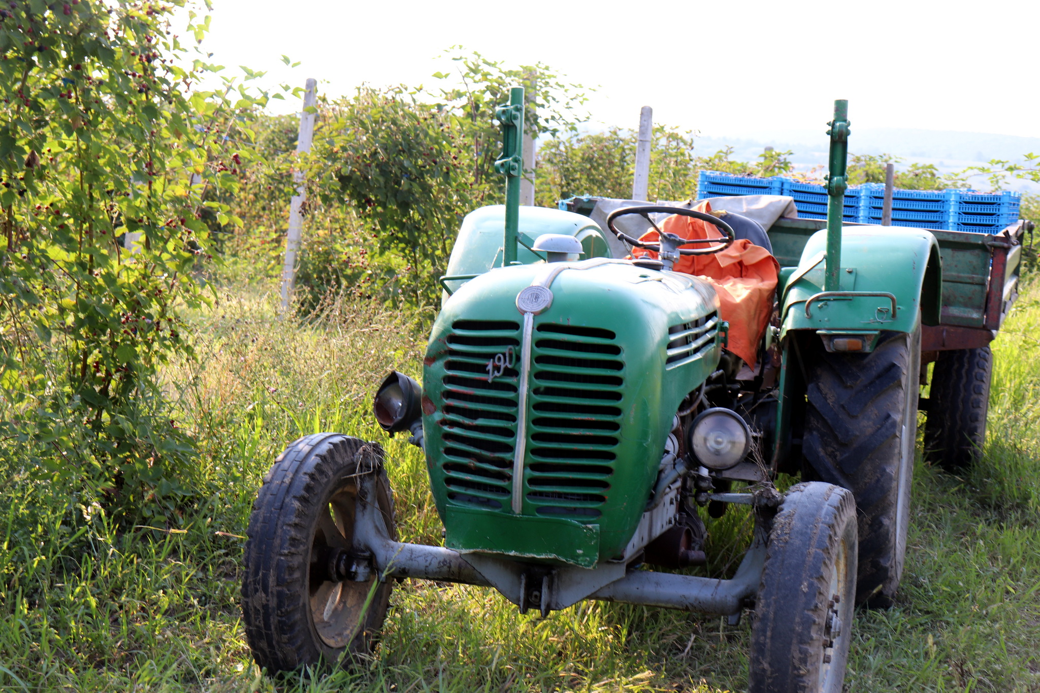 BERBA KUPINA traktor