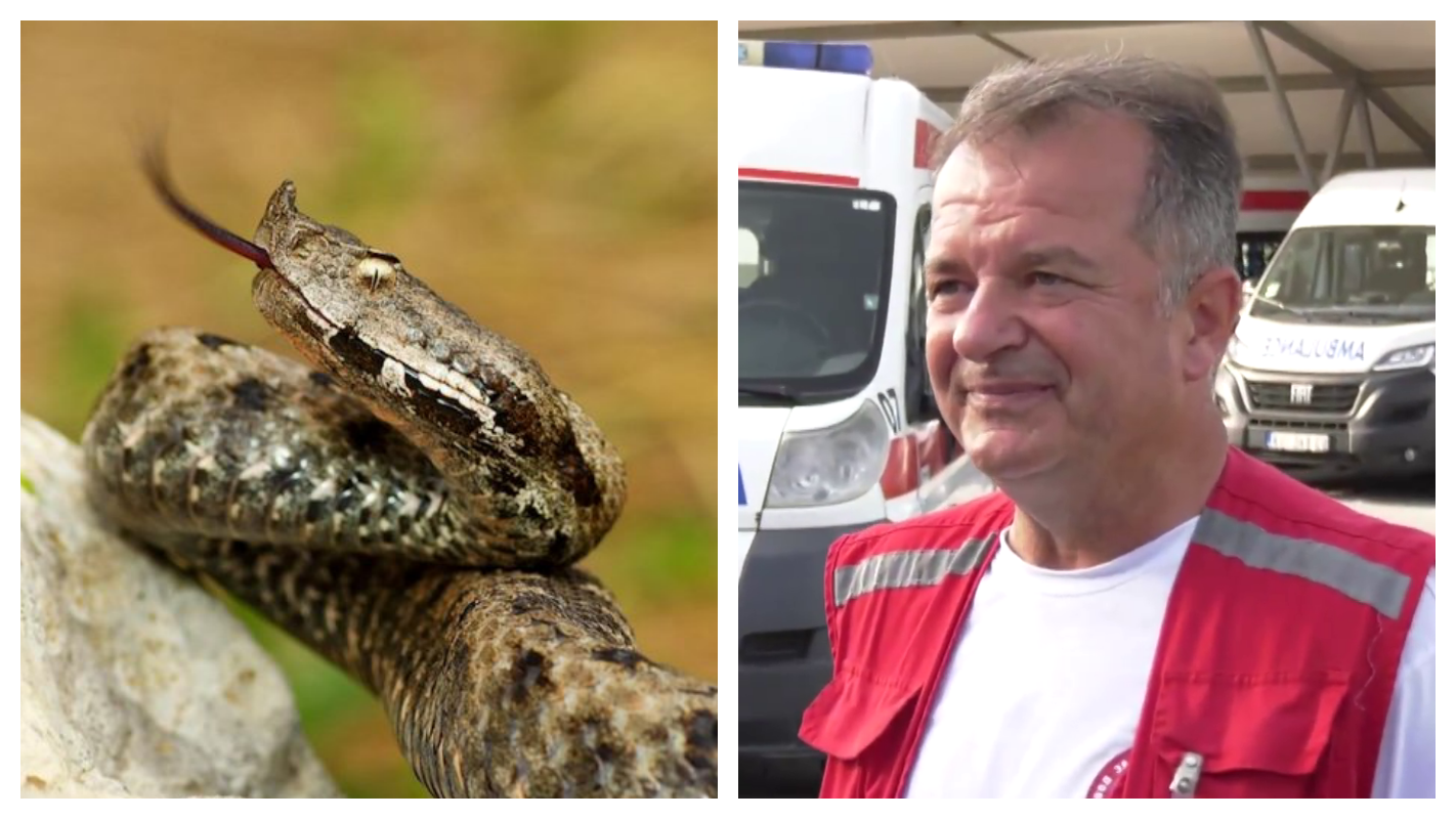 Prva pomoć u slučaju ujeda zmije