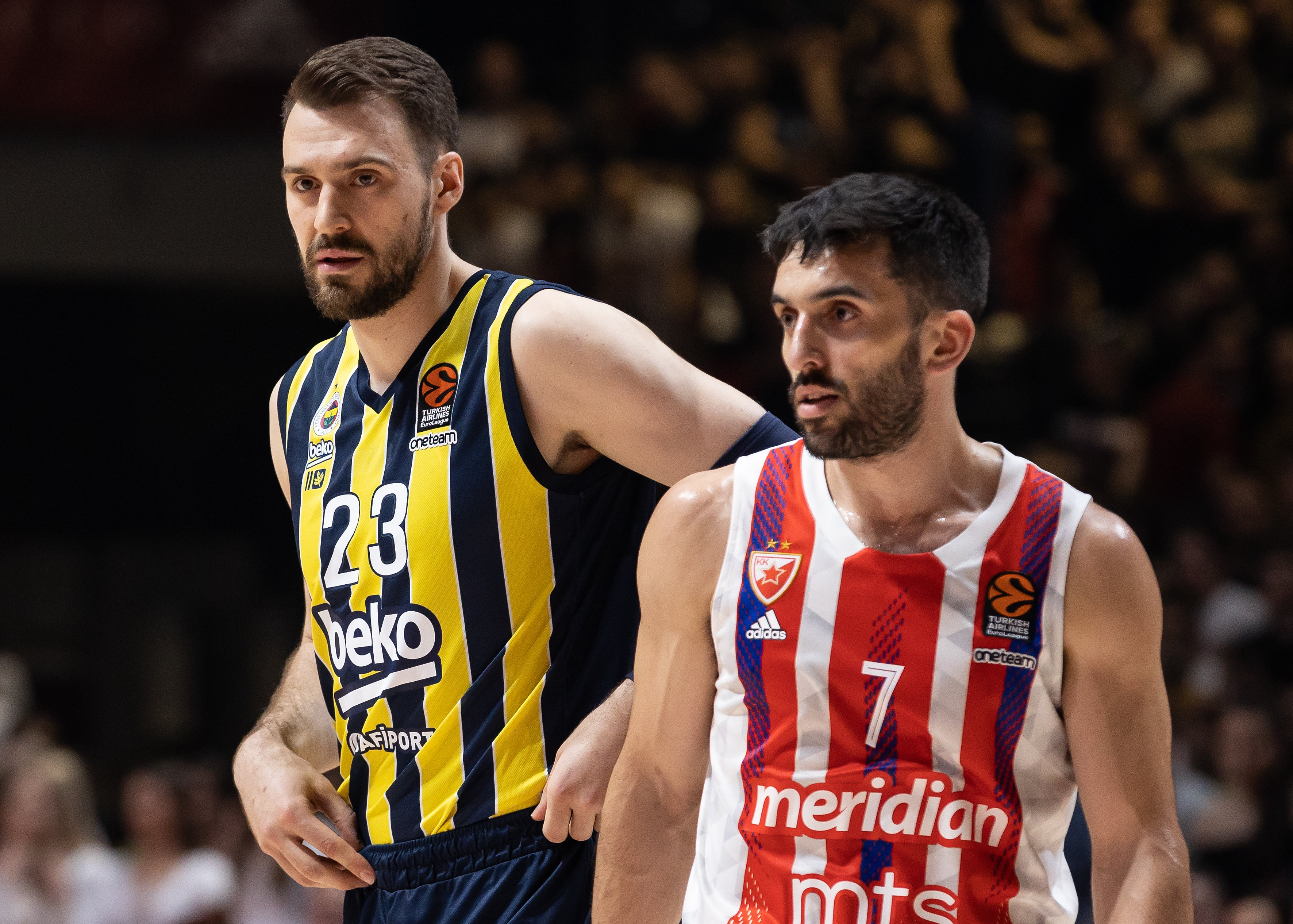 Crvena Zvezda mts Belgrade and Fenerbahce Beko Istanbul  - 2022/2023 Turkish Airlines EuroLeague