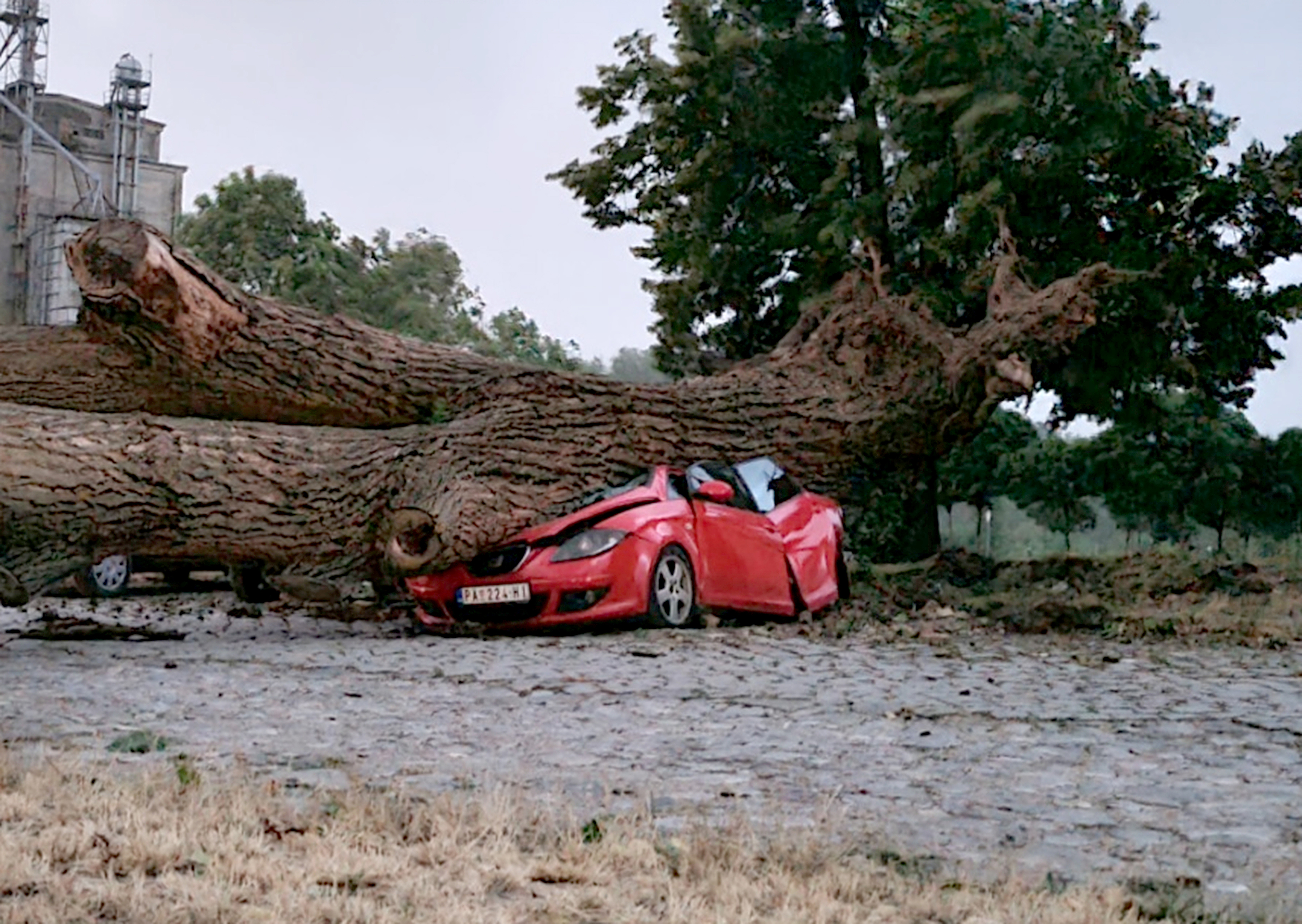 19, July, 2023, Pancevo - A thunderstorm reached Serbia, a tree fell on a car in Pancevo. Photo: Amir Hamzagic/ATAImages
19, jul, 2023, Pancevo - Grmljavinska oluja stigla do Srbije, stablo palo na automobil u Pancevu.. Photo: Amir Hamzagic/ATAImages