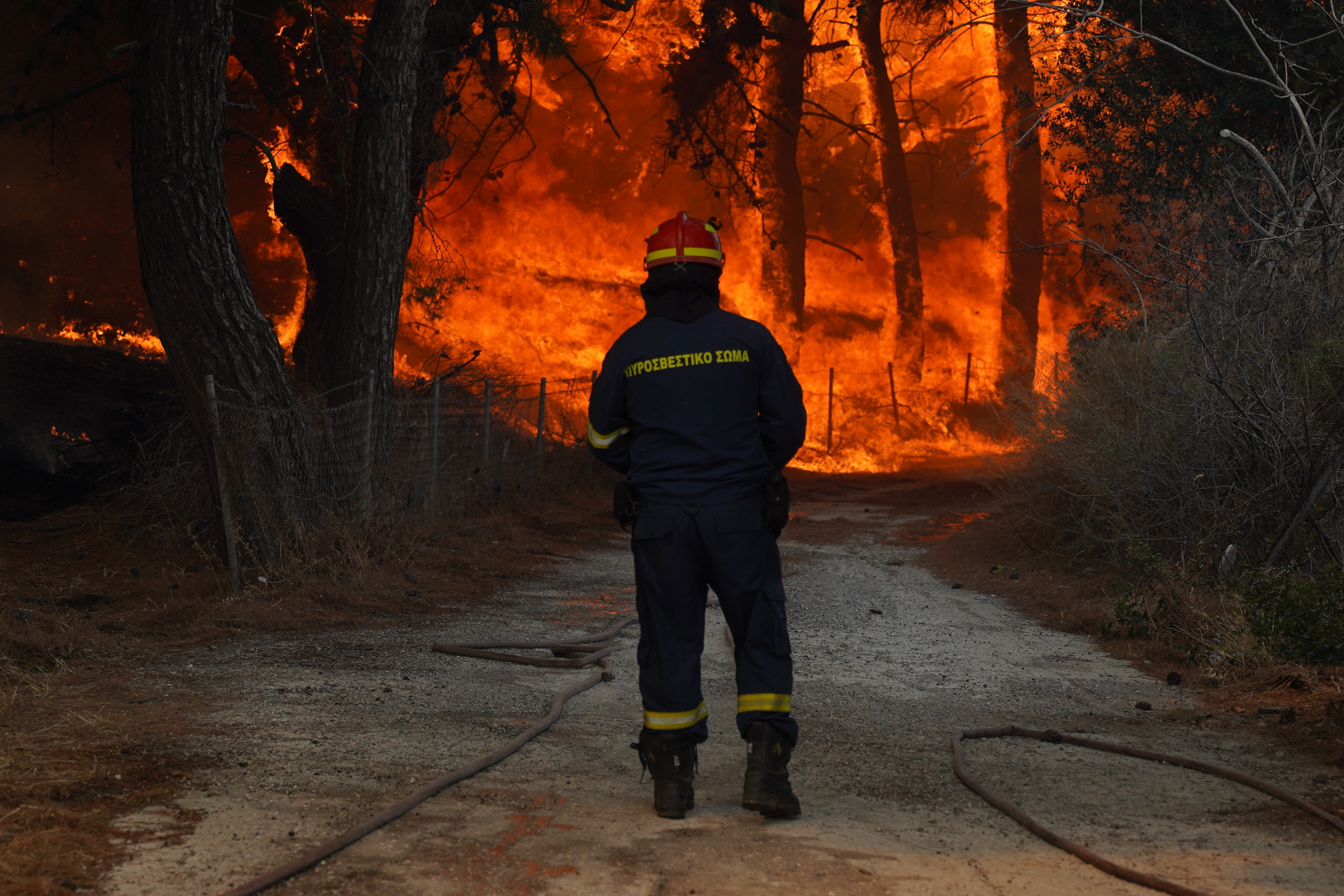 Greece Wildfires Grcka pozar