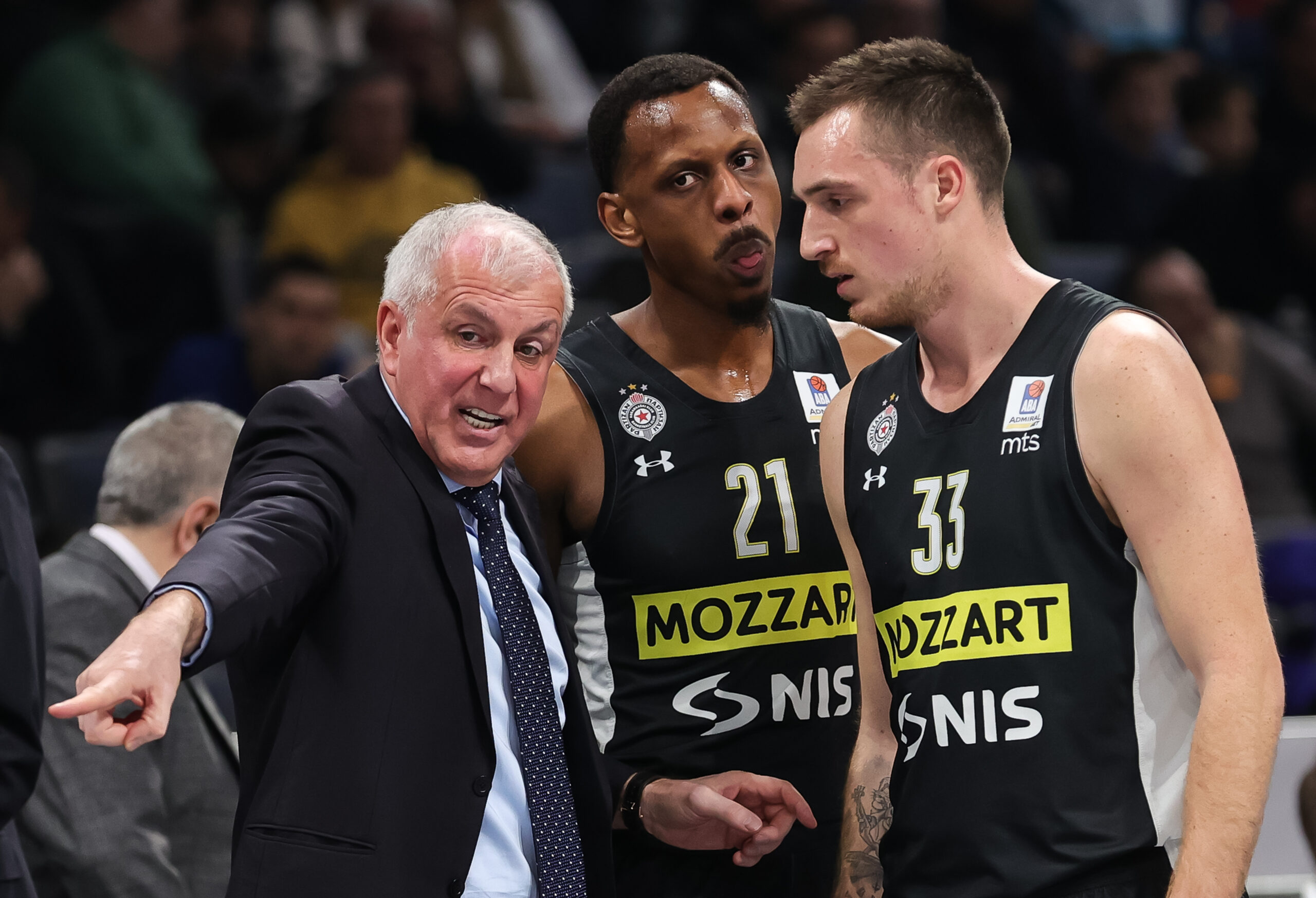 1673205682-PARTIZAN-CIBONA_16-scaled.jpg