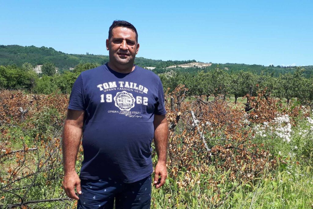 rajko krstić iz bele palanke