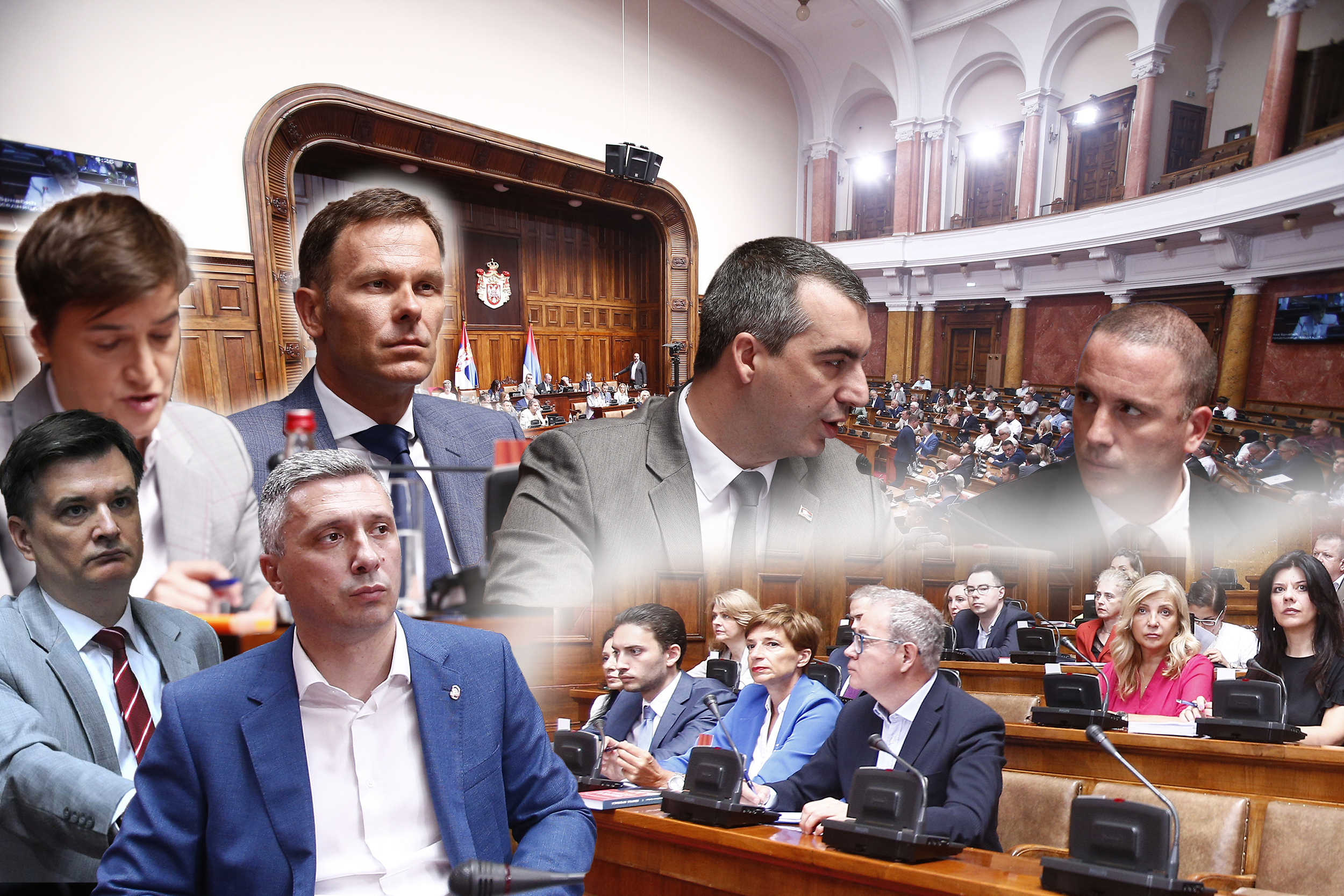 In the House of the National Assembly, a plenary session is being held on the election of the new Minister of Education, for which Slavica Djukic Dejanovic has been proposed, on financial support for families with children and on amendments and additions