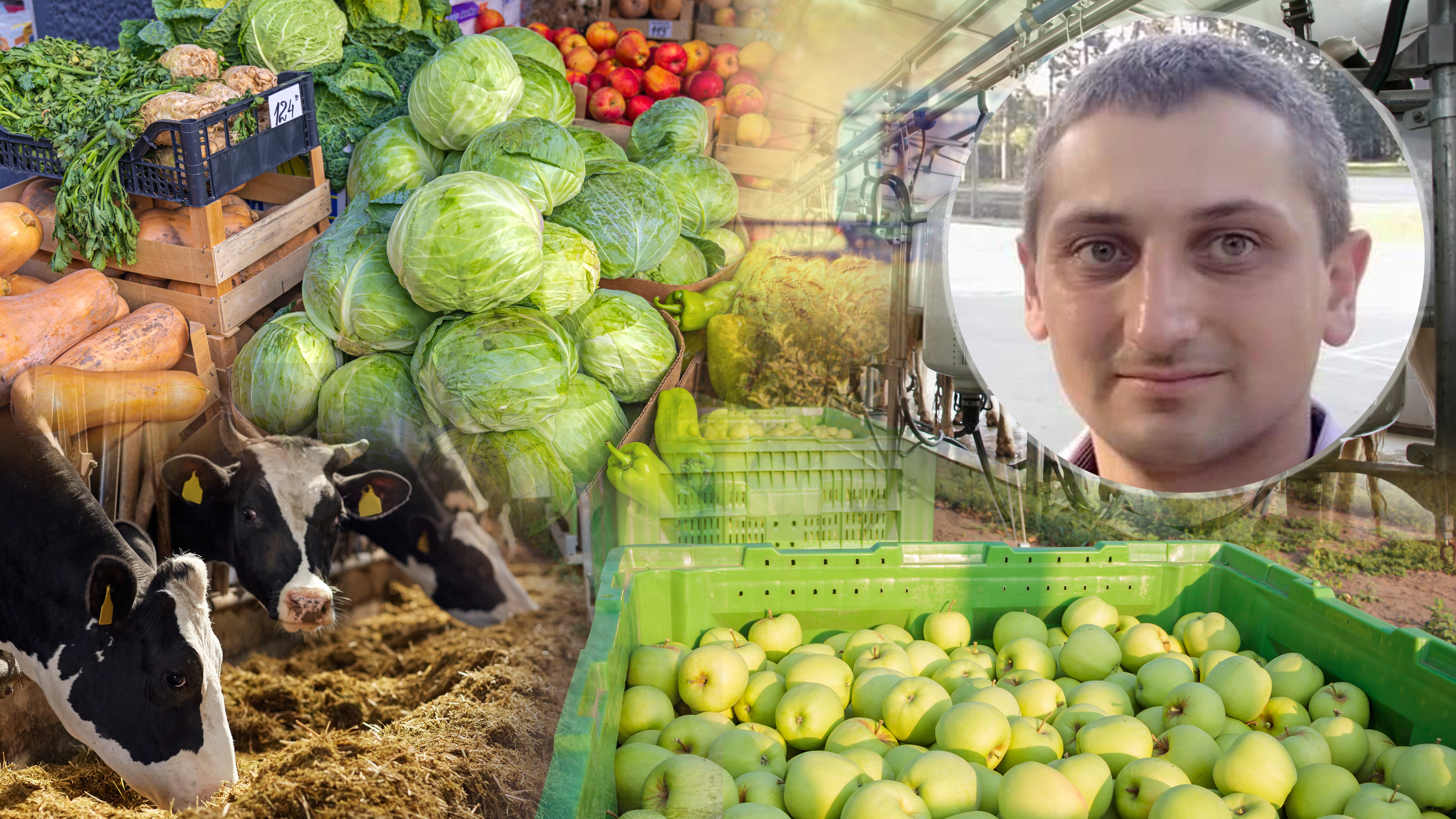 Danijel Grujić, poljoprivreda, voće, povrće, mleko, meso, stoka, kombo Foto: Shutterstock