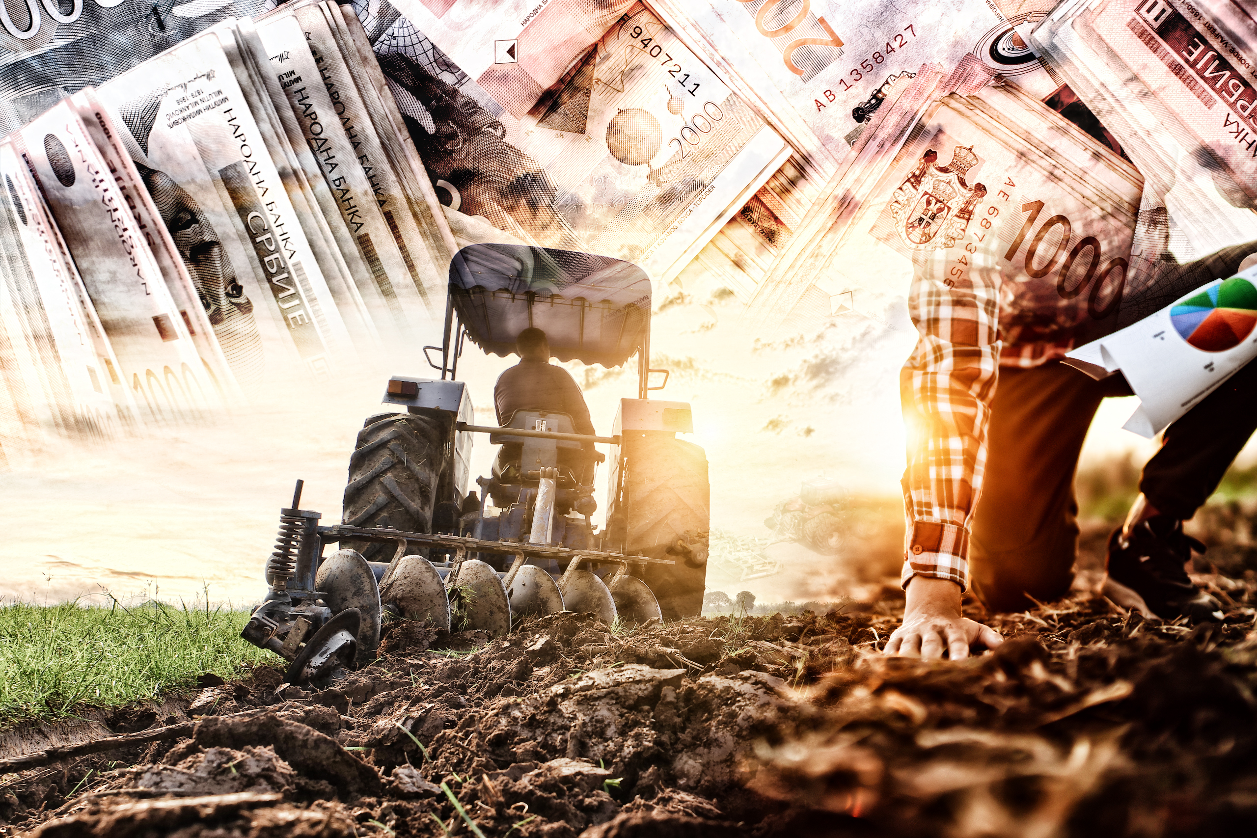 cene poljoprivrednog zemljišta poljoprivreda njiva novac