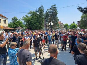 Prestonica maline pred neizvesnom sudbinom Arilje malina maline