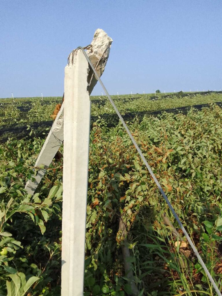 Bačka Palanka unisten vočnjak