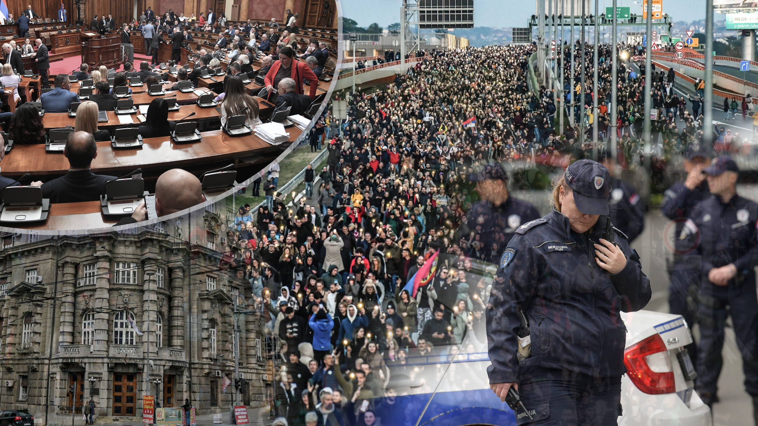 protest, nasilje, ribnikar , skupstina, vlada,