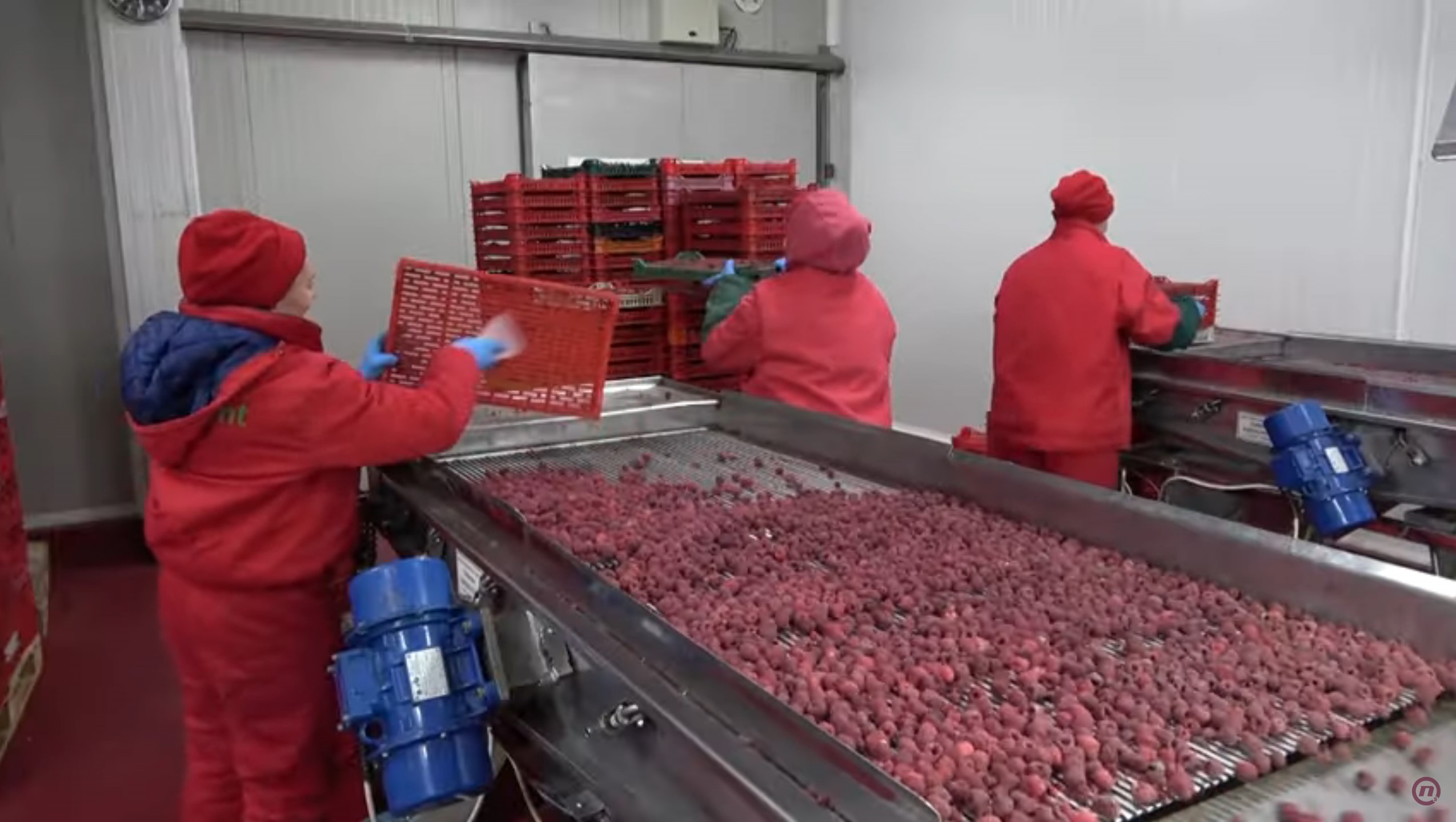 maline medju nama foto nova s (3)