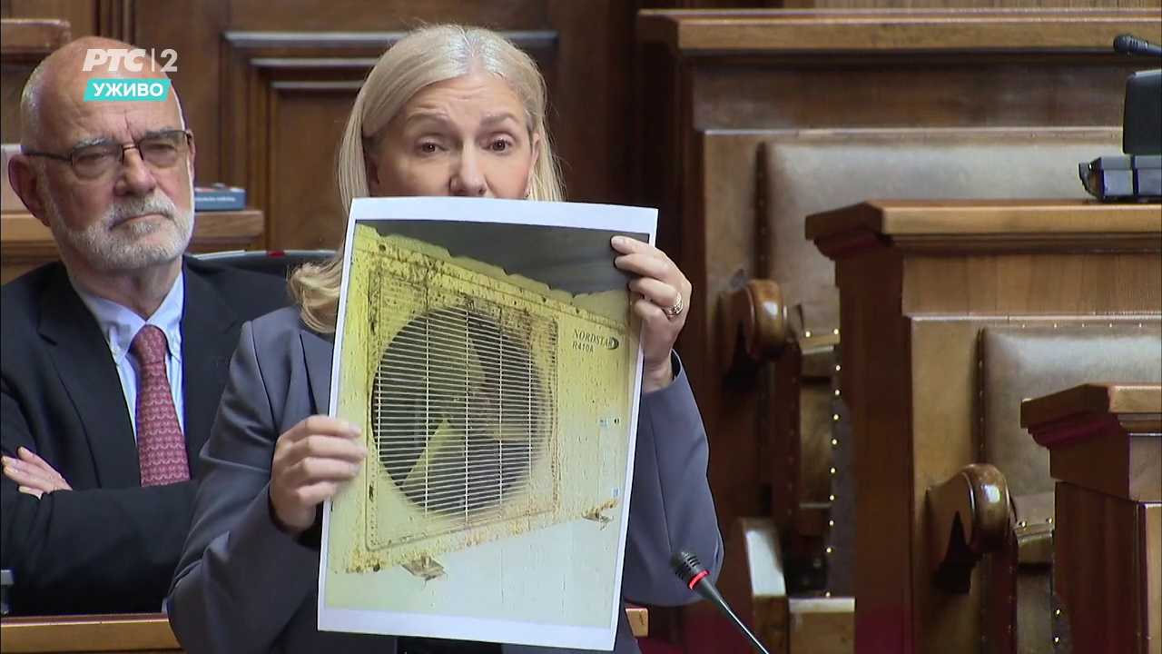 Slavica Radovanović 7 Foto: Prnt scrn RTS2