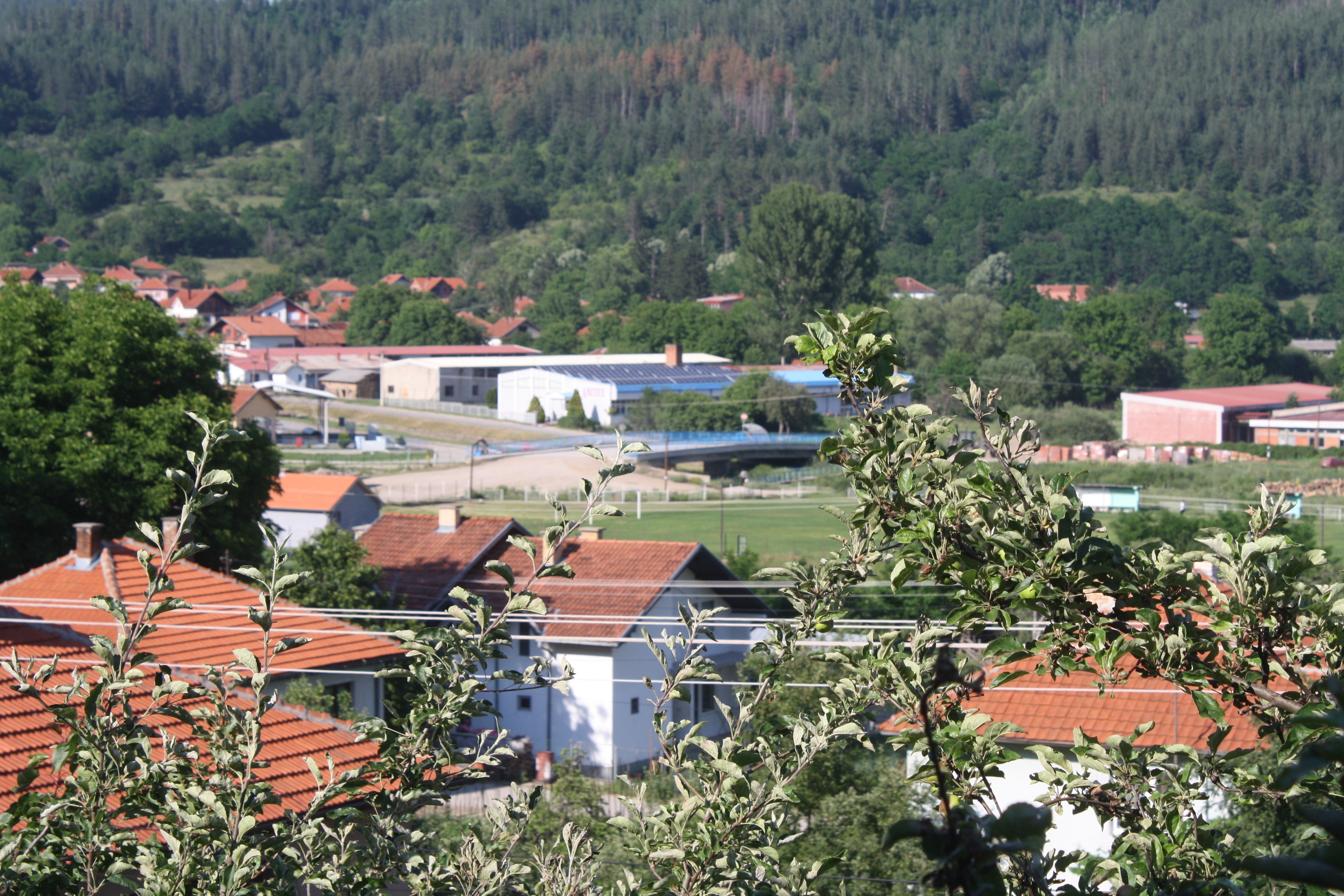 Photographed,Of,Bosilegrad,From,The,Terrace.,The,Picture,Shows,Trees,
