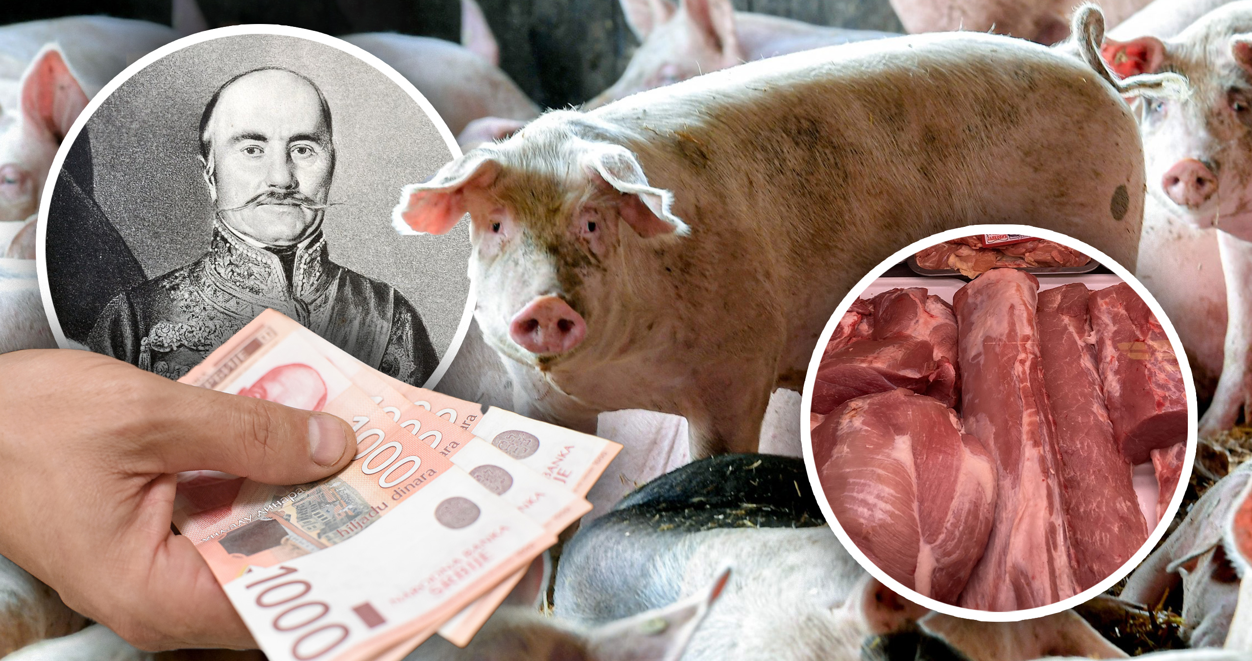 Svinje, prasići svinjarstvo u srbiji ,cena svinjskog mesa;, uvoz prasadi, stočarstvo, cene, Miloš Obrenović