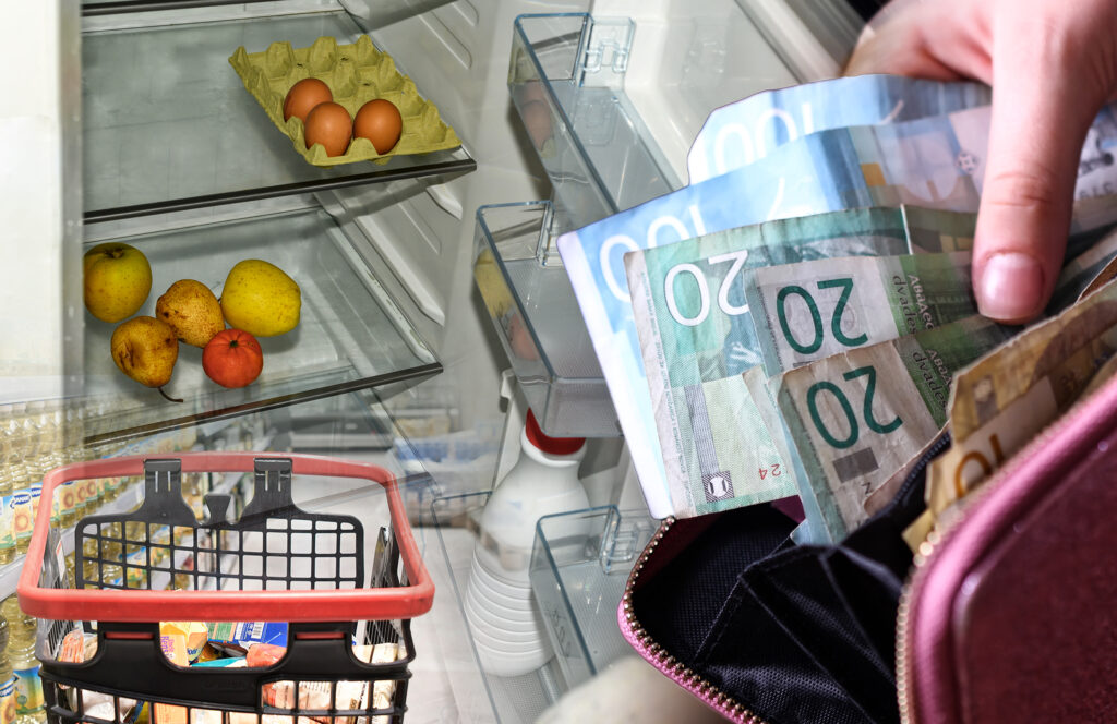 poluprazan frižider, dinari, neka potrošačka korpa