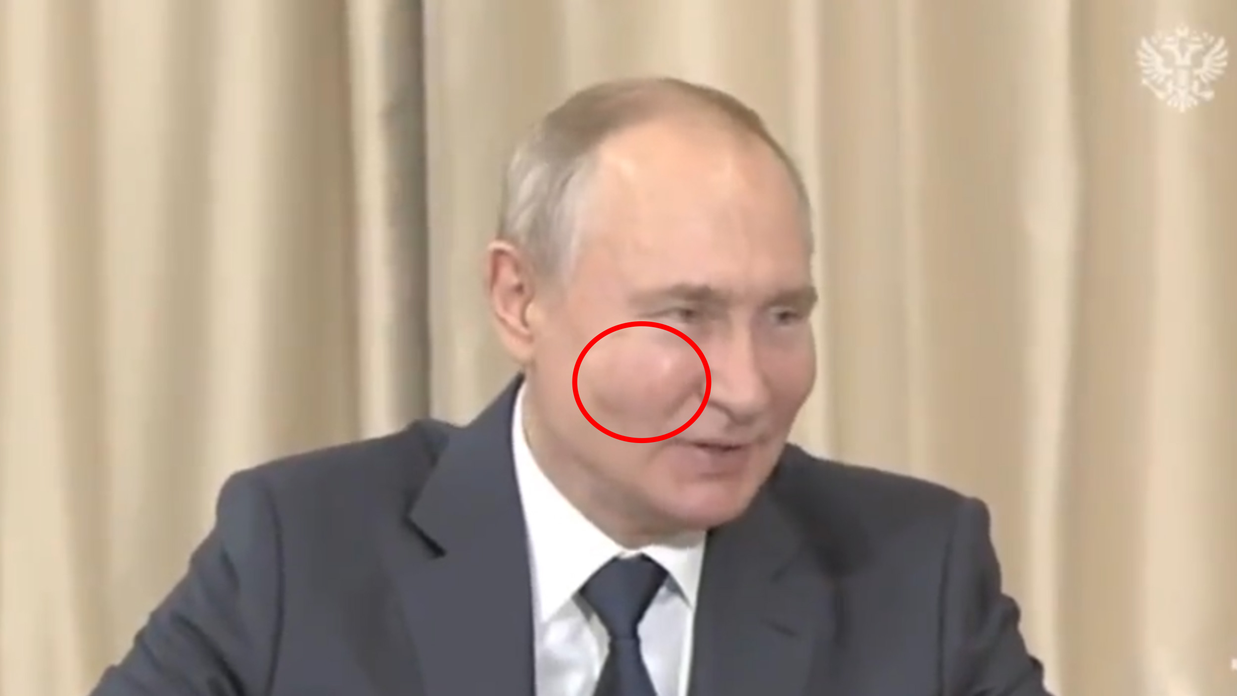 Vladimir Putin. Obrz