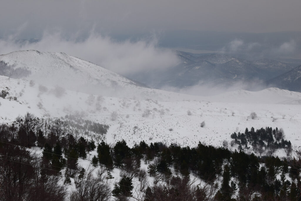 Platak, sneg Foto: Shutterstock