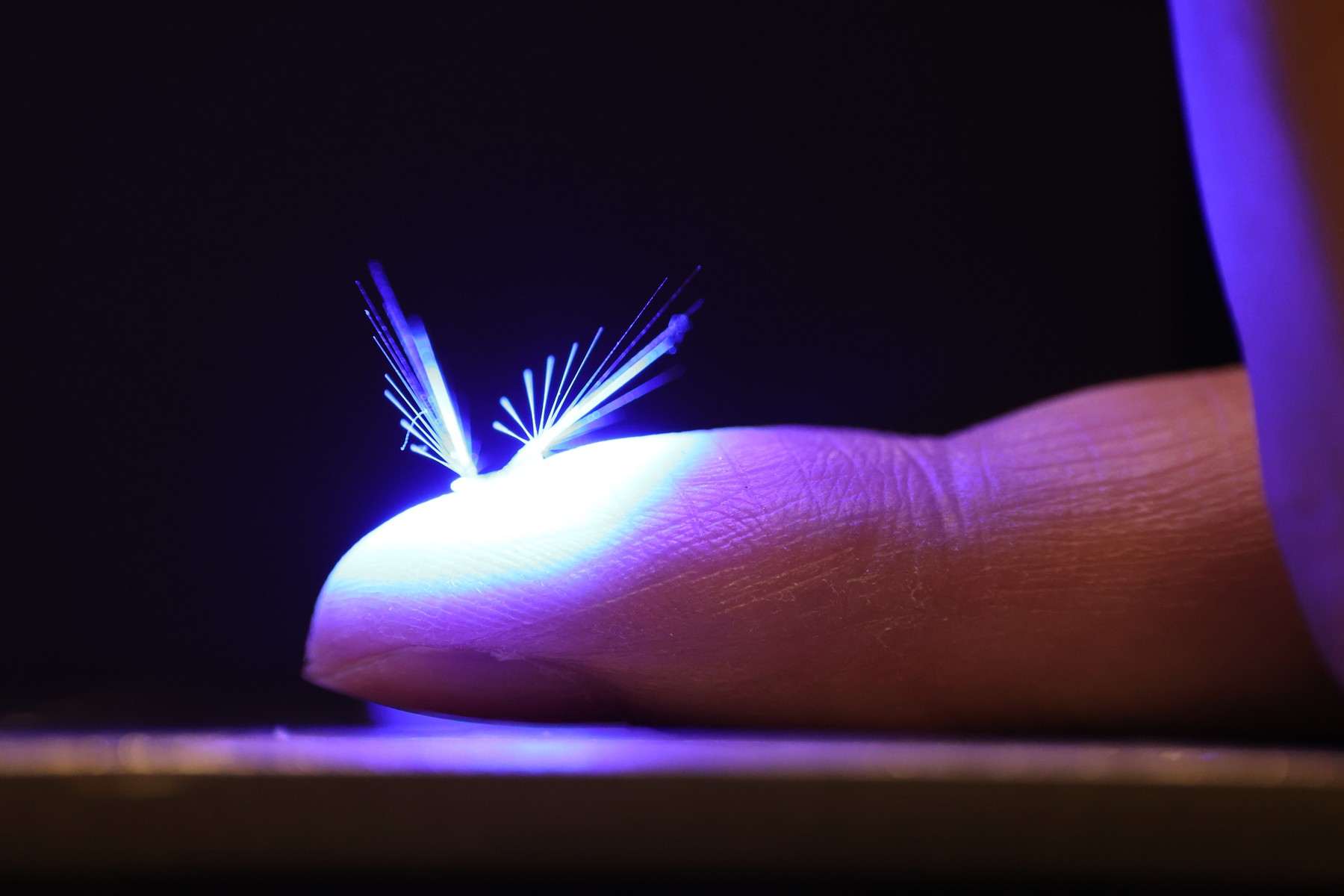 Scientists Believe In Fairies - Robot Ones Controlled By Light