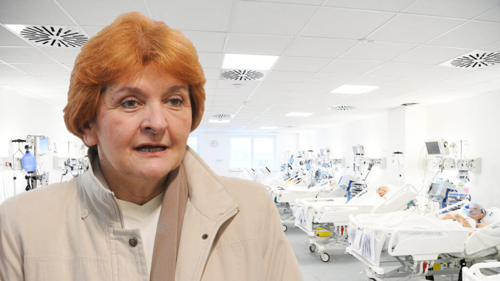 Danica Grujičić, bolnica, pacijenti, kombo Foto: Goran Srdanov/Nova.rs/TANJUG/TARA RADOVANOVIC