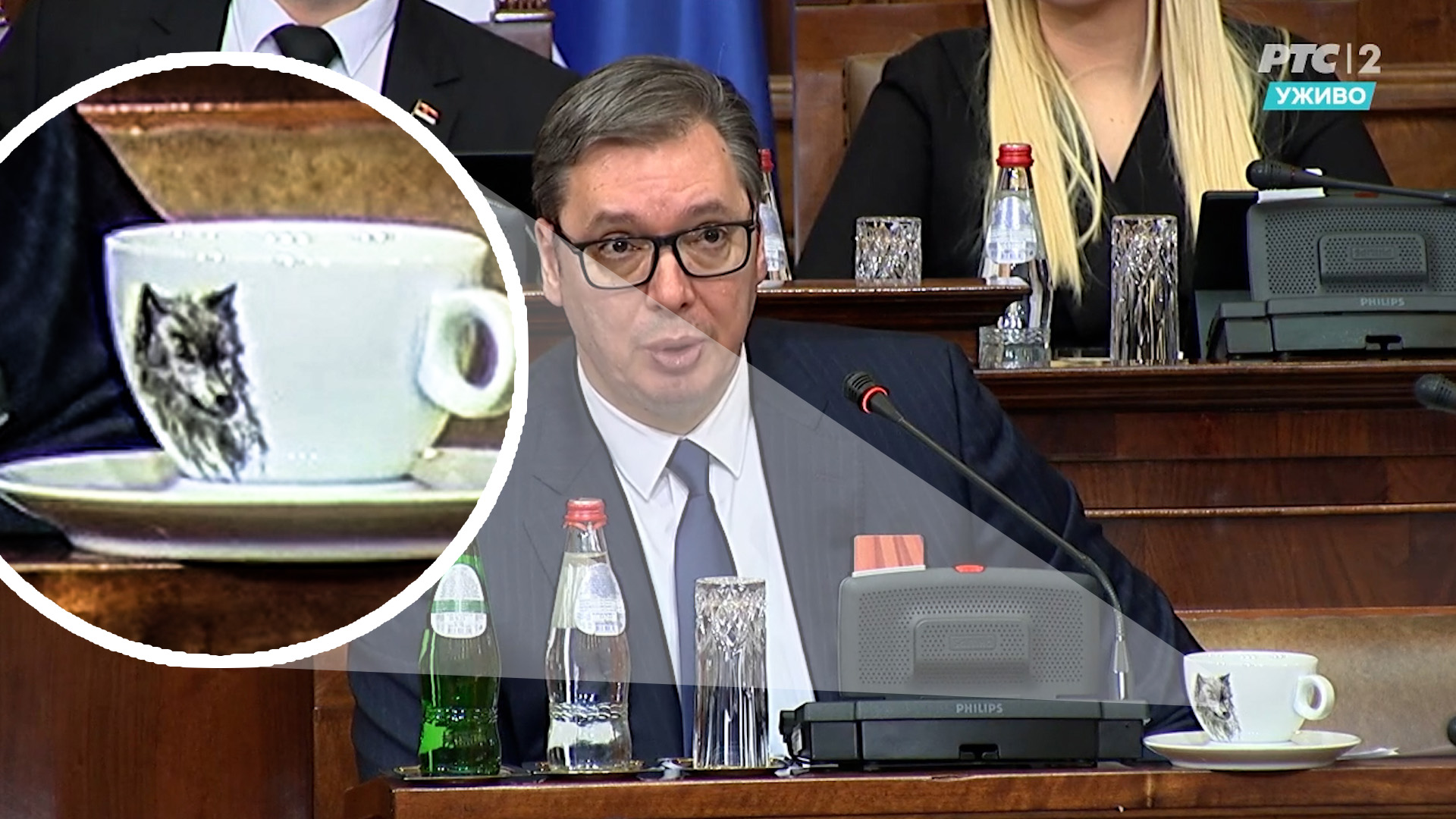Vucic vuk solja