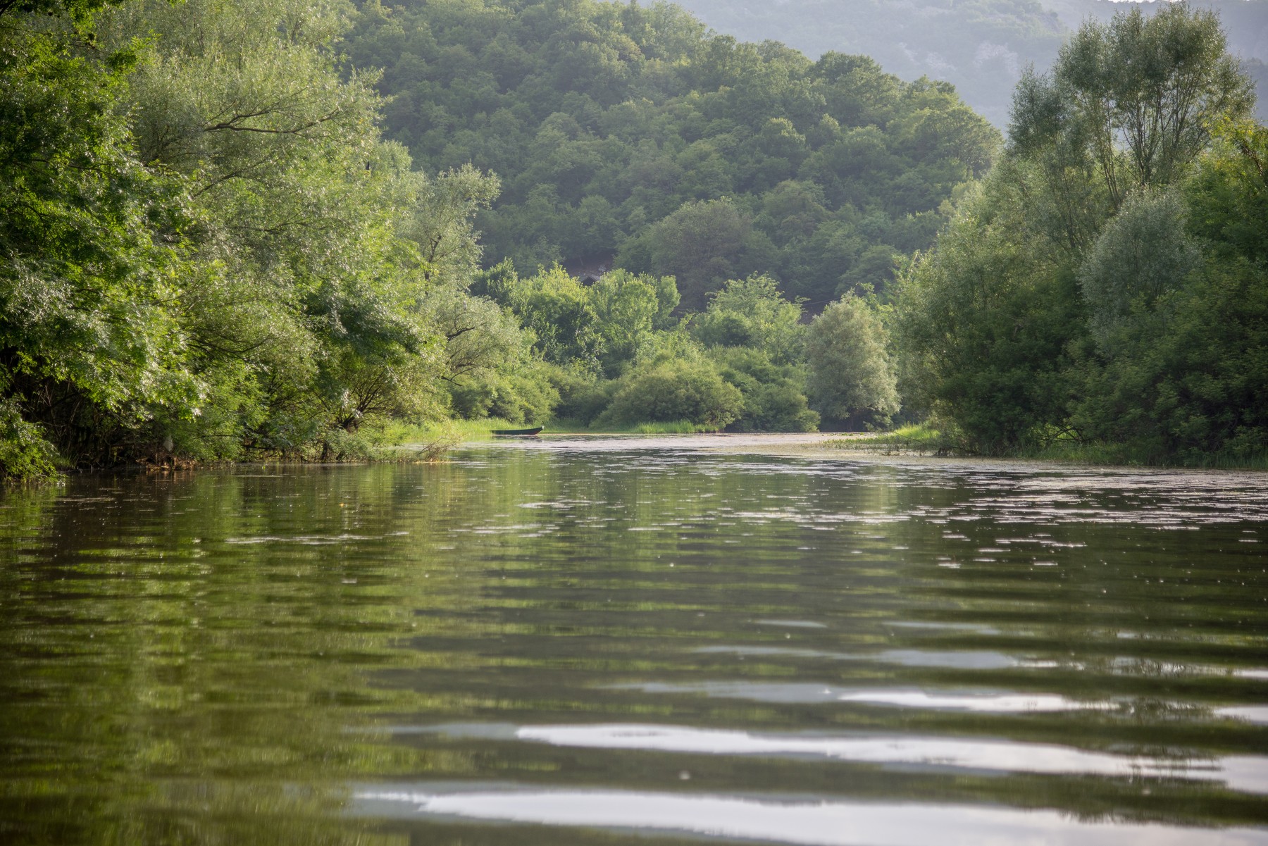 Lake Skadar in Montenegro