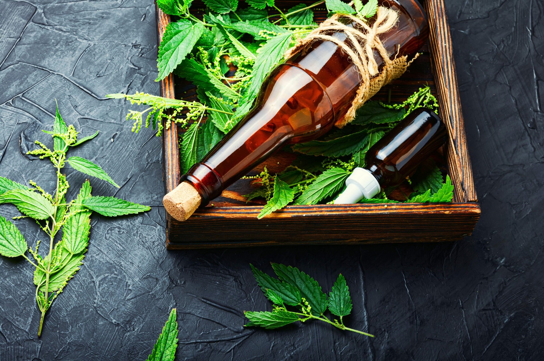 Image: 550253714, License: Royalty-free, Restrictions: , Model Release: no, Credit line: Mykola Lunov / Alamy / Alamy / Profimedia