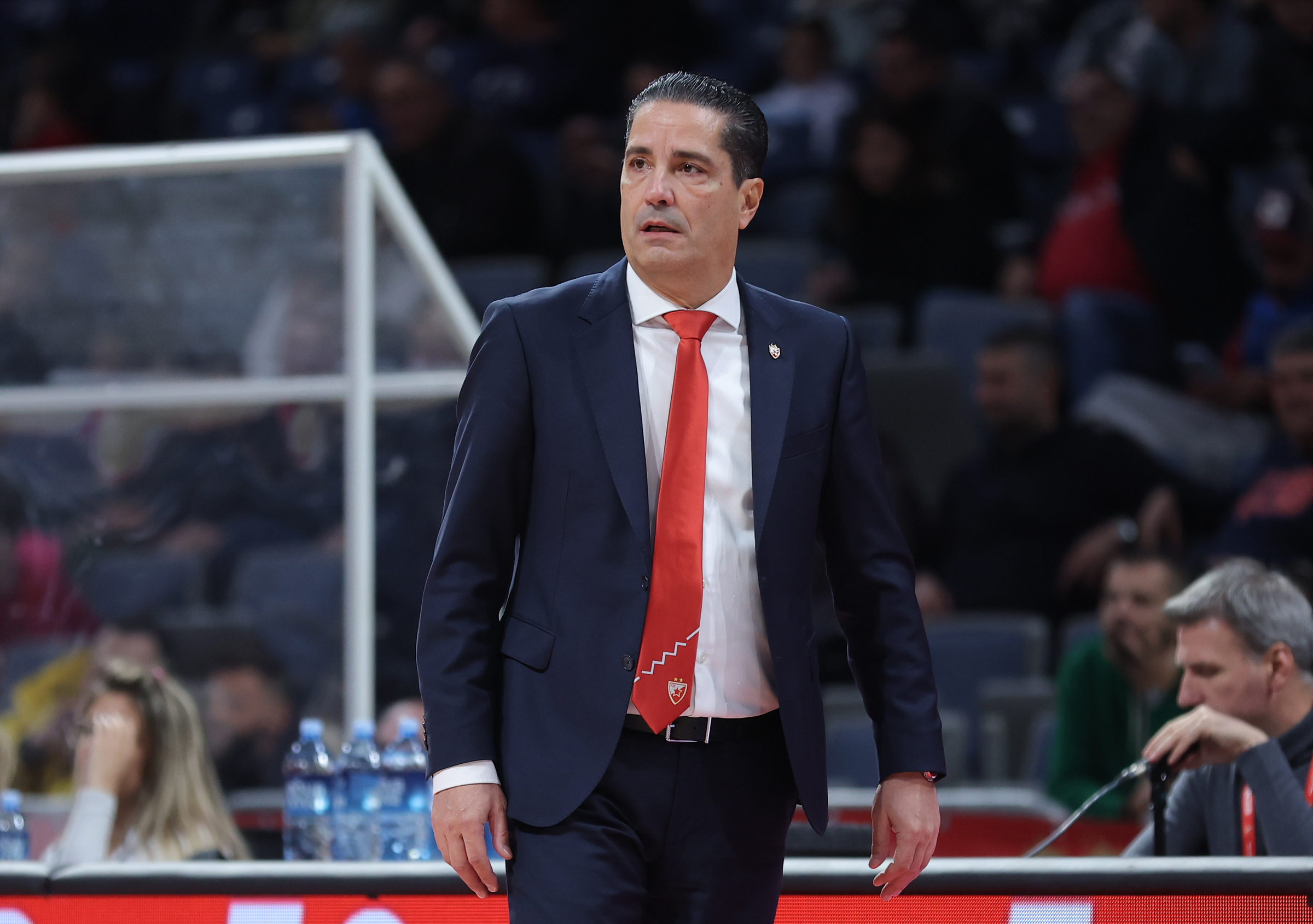 zvezda-cibona-216920