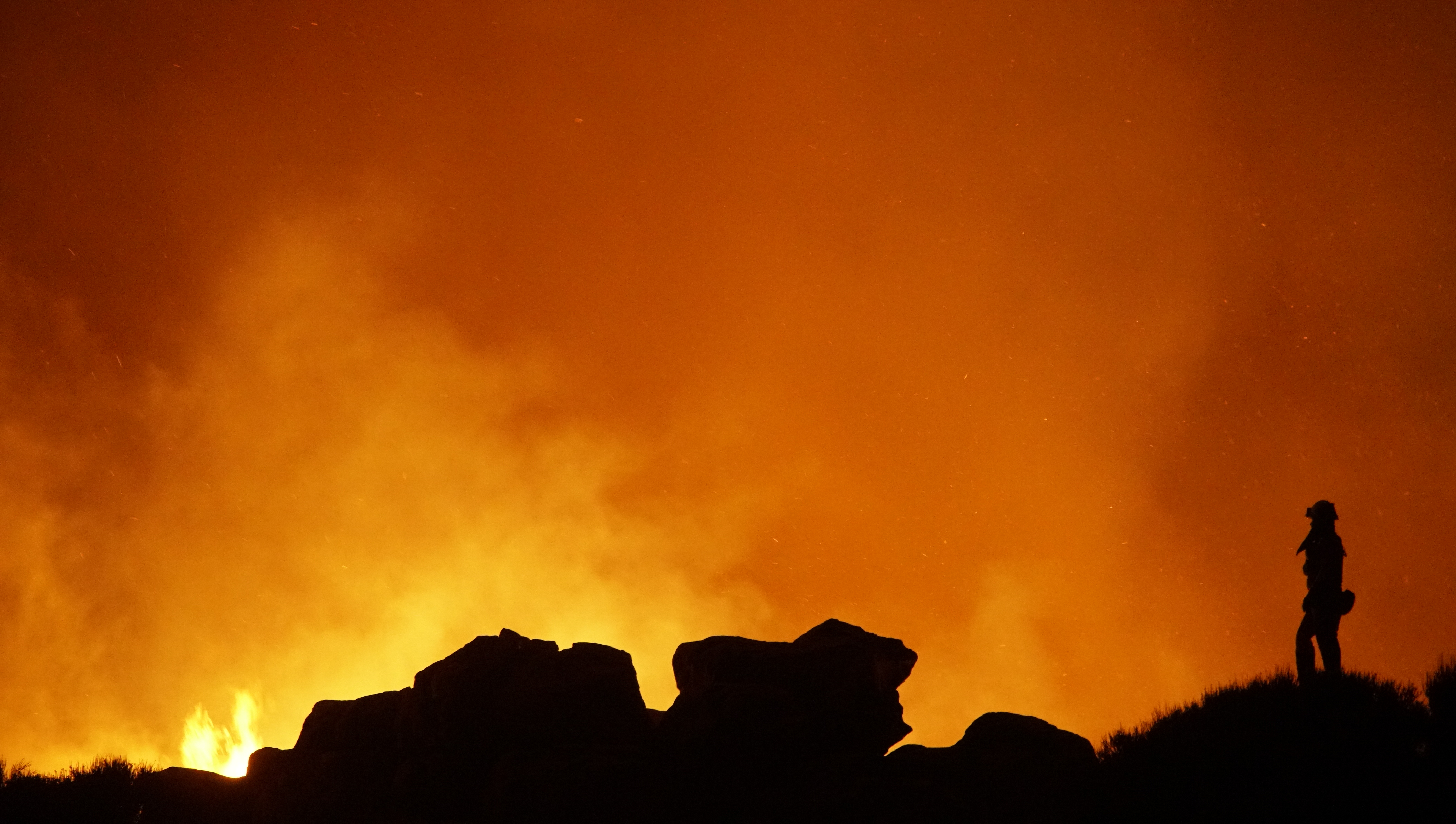 Forest fire in Tenerife island