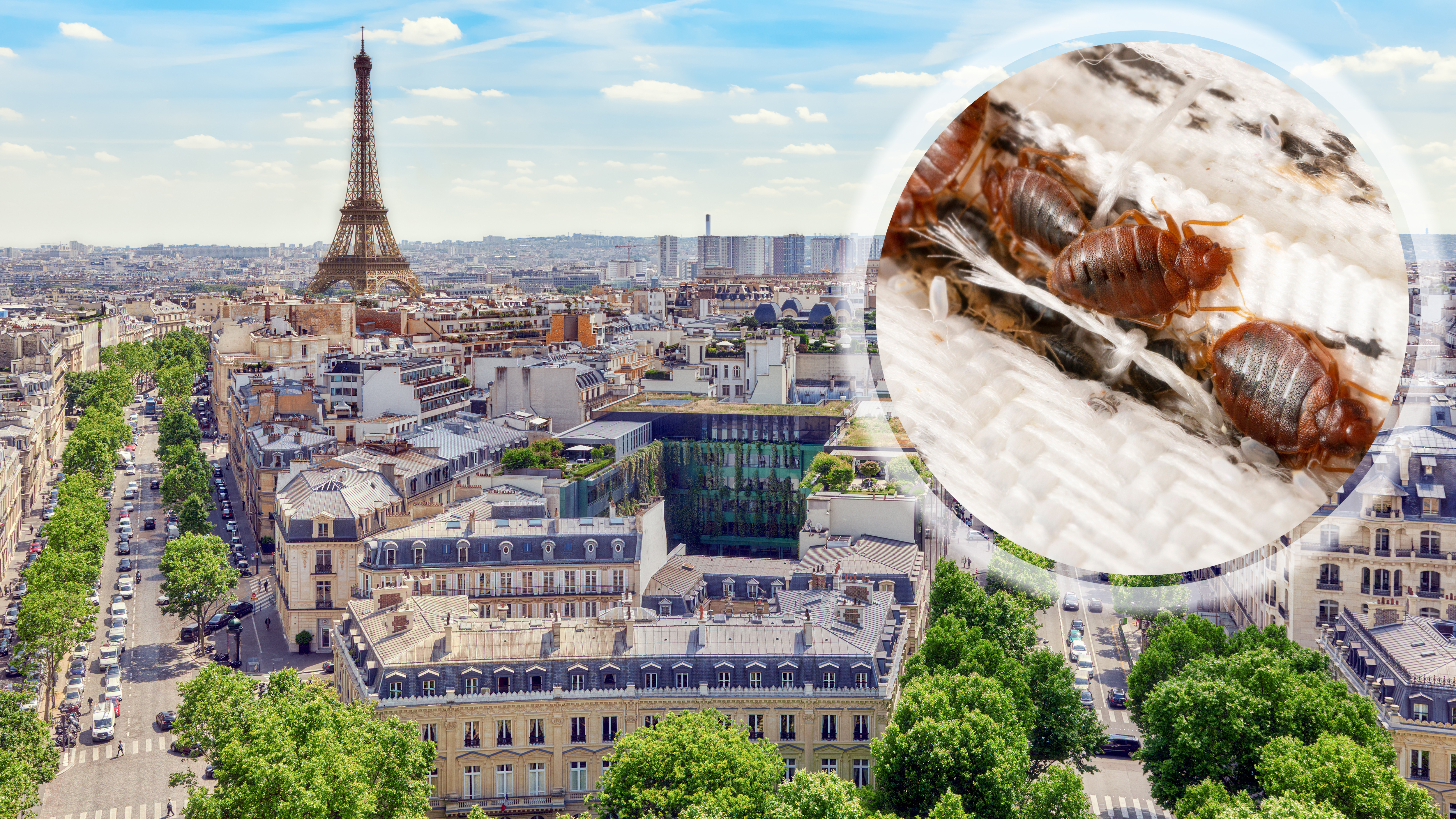 Pariz, stenice, kombo Foto: Shutterstock