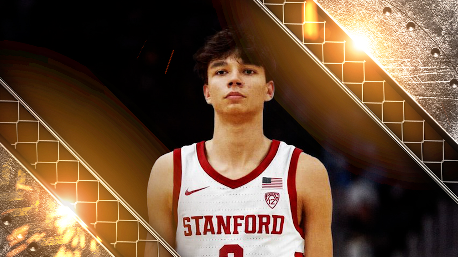 sorti_andrej_stojakovic_am