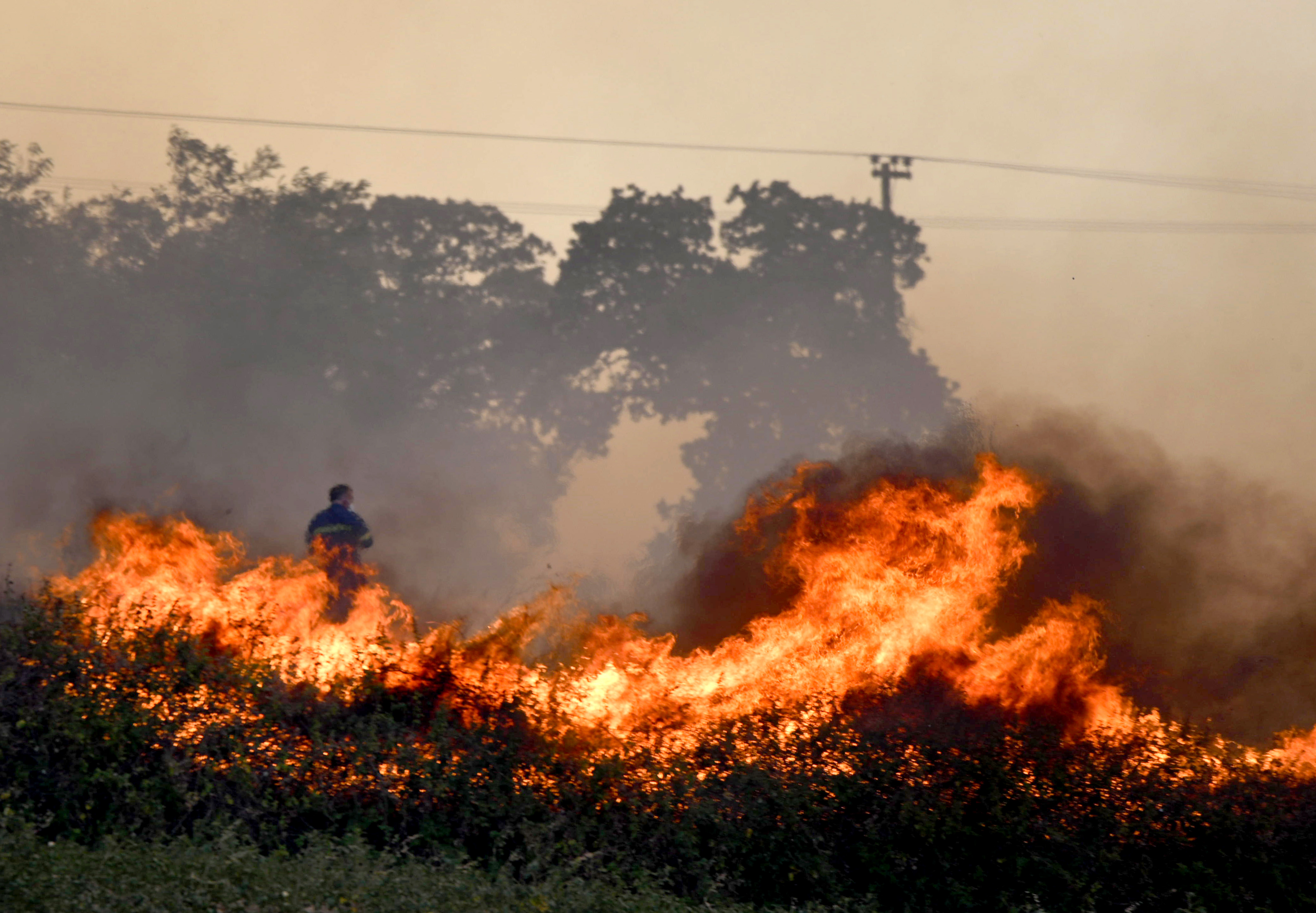 Wildfire in Alexandroupolis, Thrace