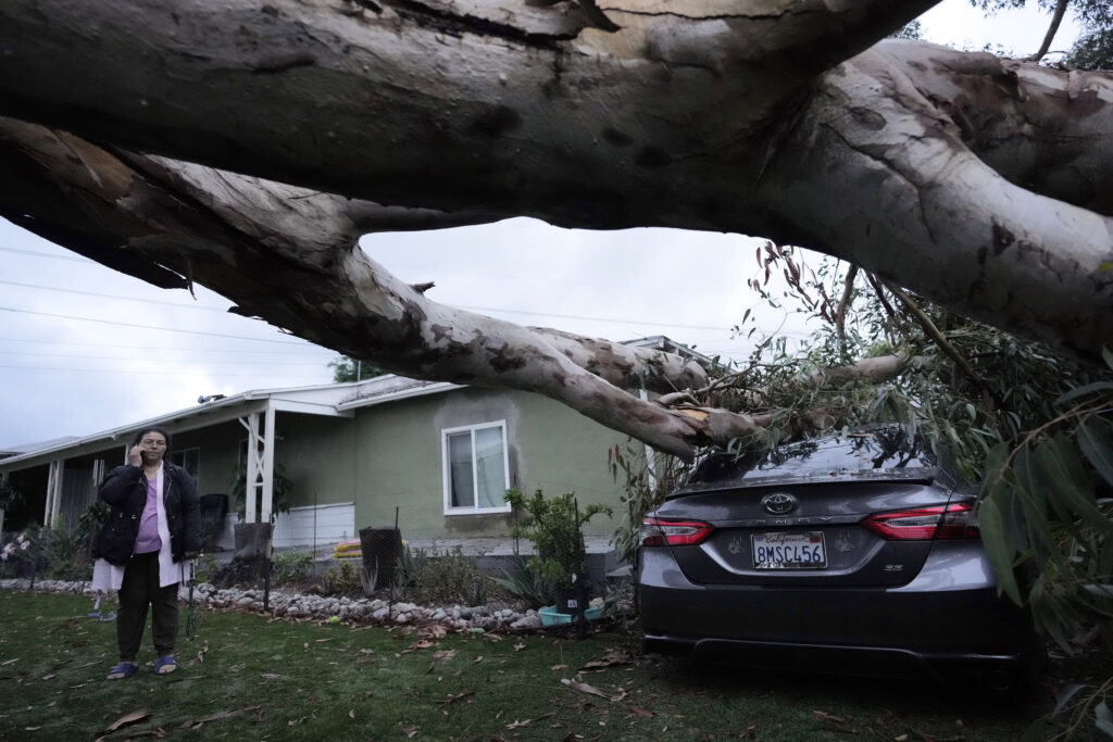 Maura Taura talks on a cell phone outside her home next to a downed tree after Tropical Storm Hilary went through Monday, Aug. 21, 2023, in Sun Valley, Calif. (AP Photo/Marcio Jose Sanchez)