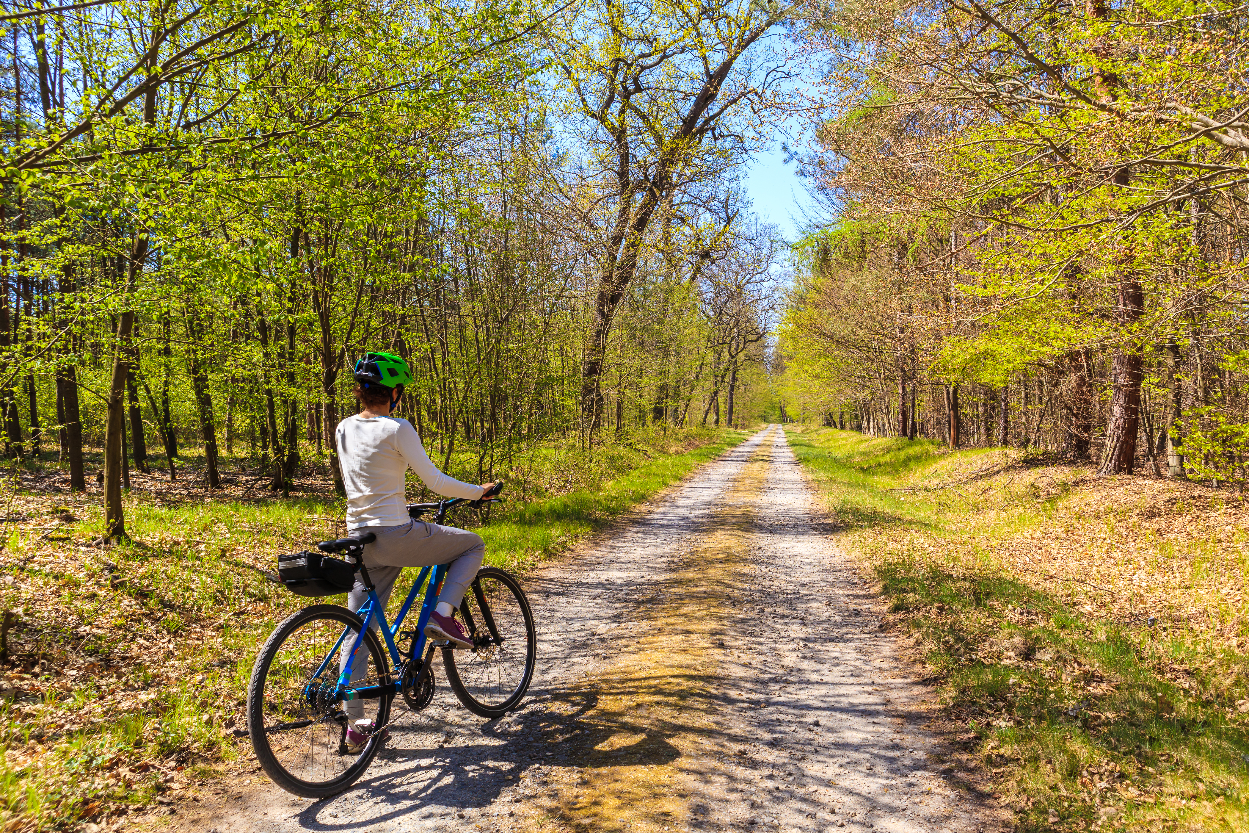Young,Woman,Tourist,Cyclist,On,Road,In,Forest,On,Sunny